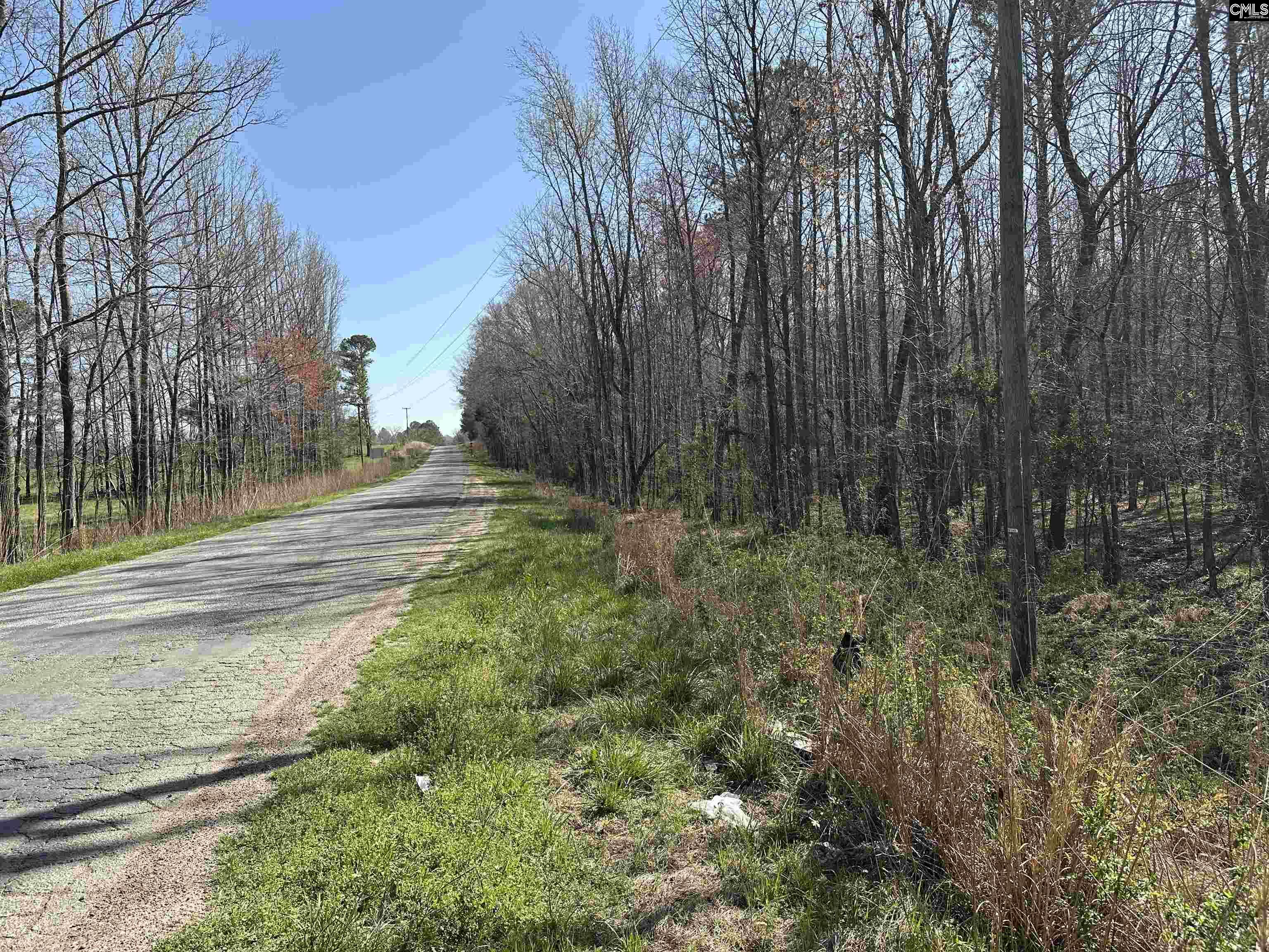 Speigner Road, Ridge Spring, South Carolina image 2