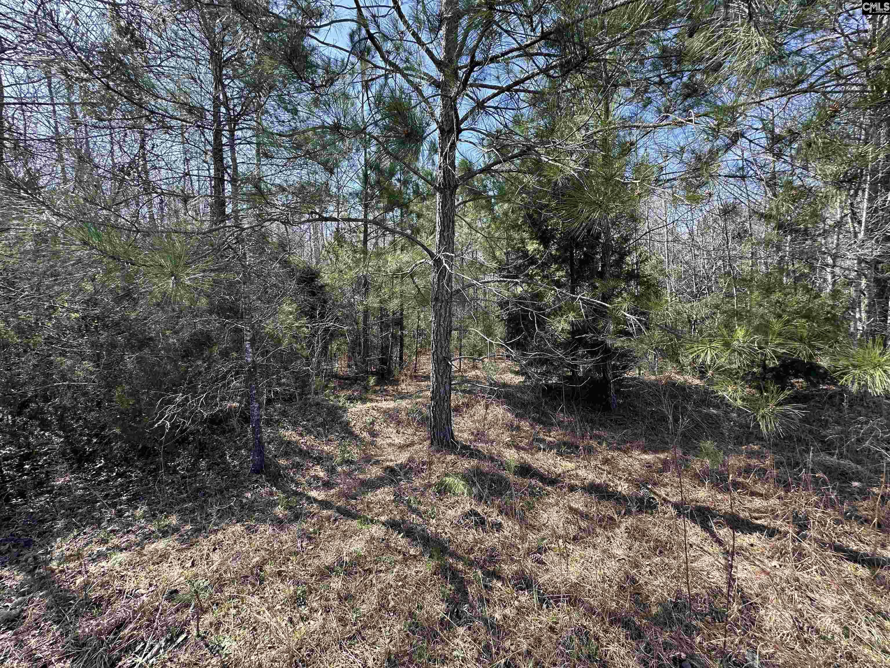 Speigner Road, Ridge Spring, South Carolina image 3