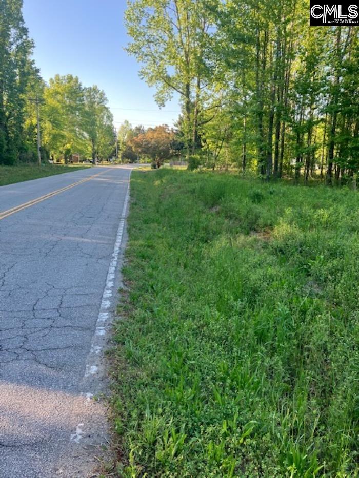 E/S Congaree Road, Gadsden, South Carolina image 2