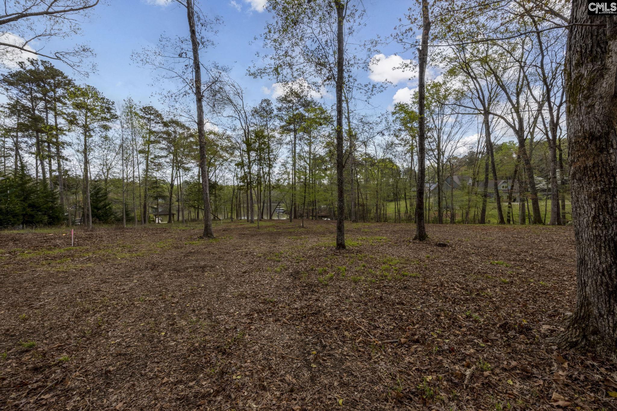 266 Poplar Road, Batesburg, South Carolina image 5