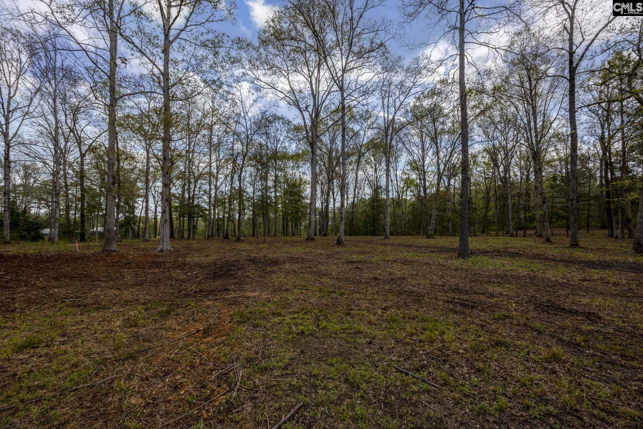 266 Poplar Road, Batesburg, South Carolina image 6