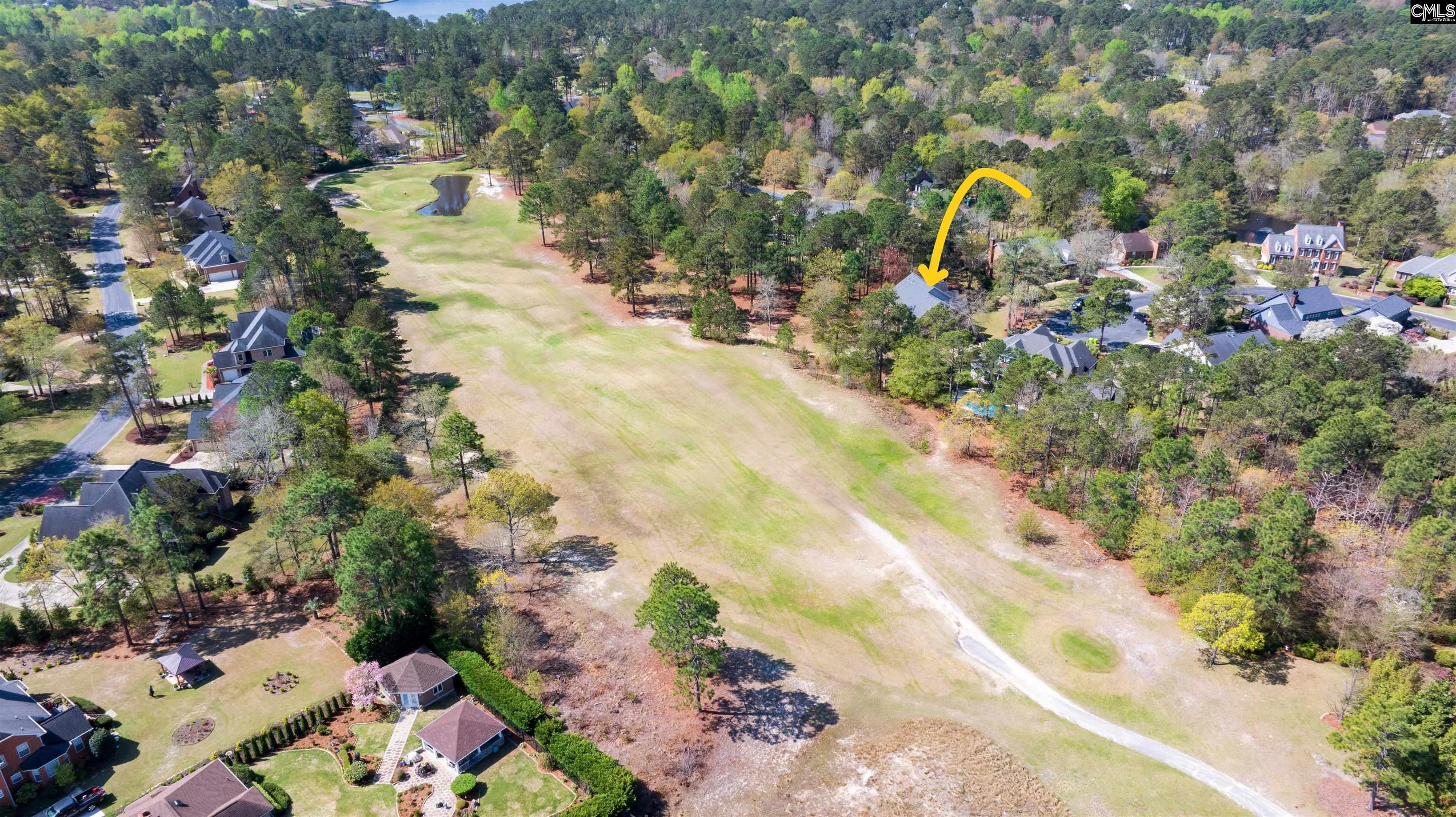 132 Bardwell Way, Blythewood, South Carolina image 33
