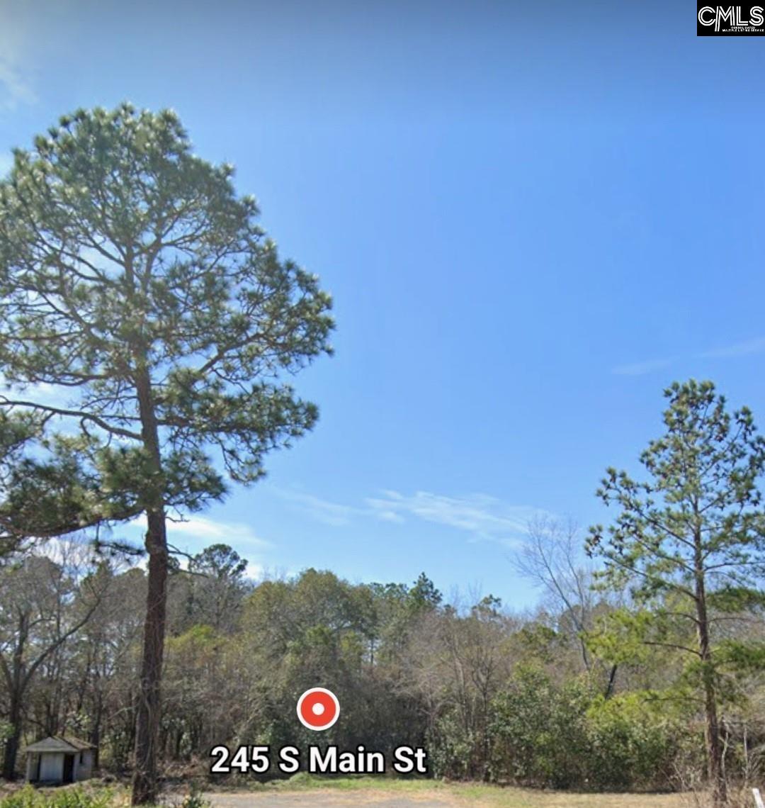 245 South Main Lot B Street, Gaston, South Carolina image 2