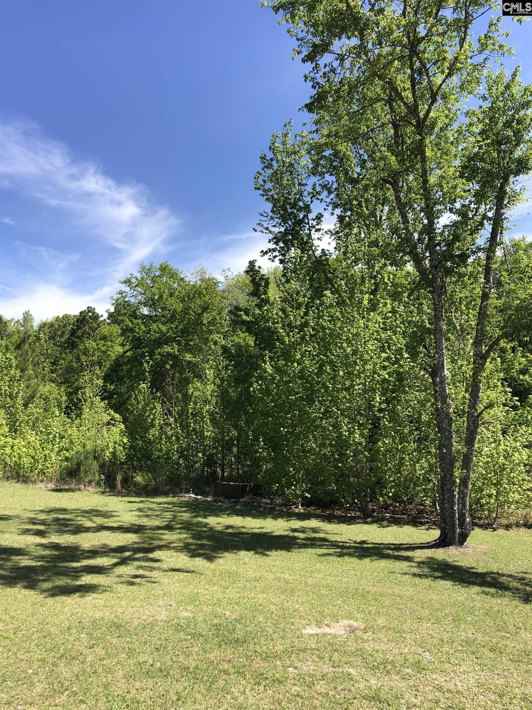 1832 Pine Plain Road, Swansea, South Carolina image 21