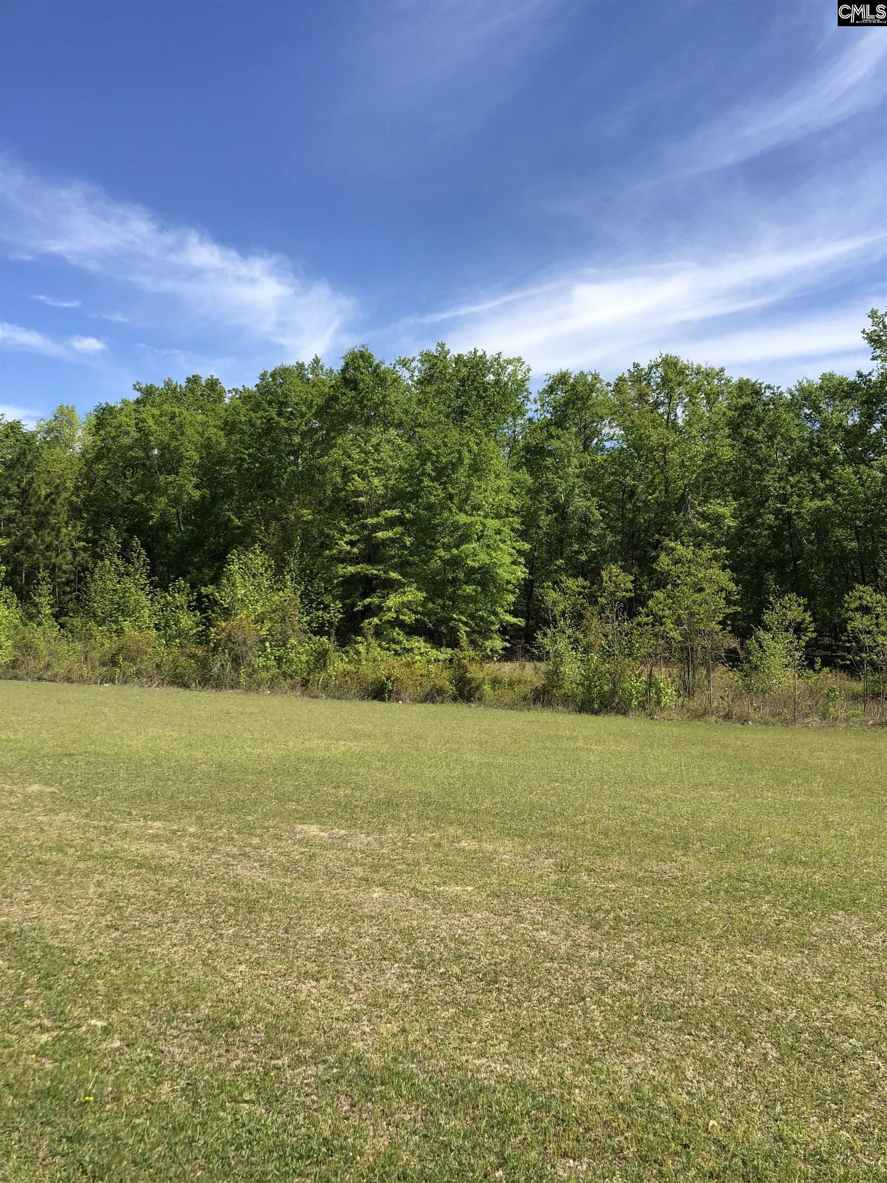 1832 Pine Plain Road, Swansea, South Carolina image 8
