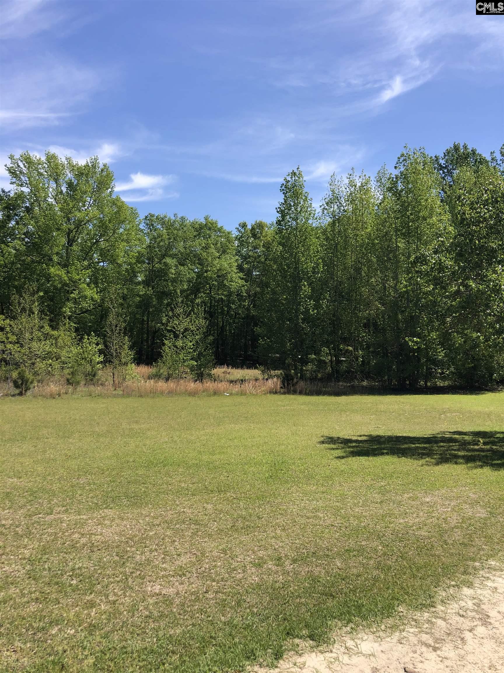 1832 Pine Plain Road, Swansea, South Carolina image 9