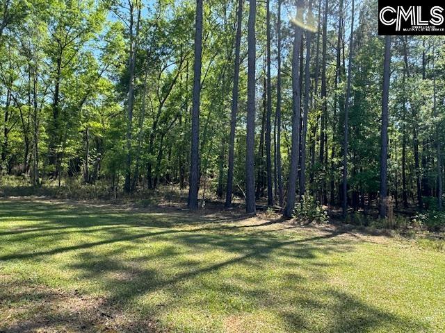 451 Woodberry Drive, Orangeburg, South Carolina image 16
