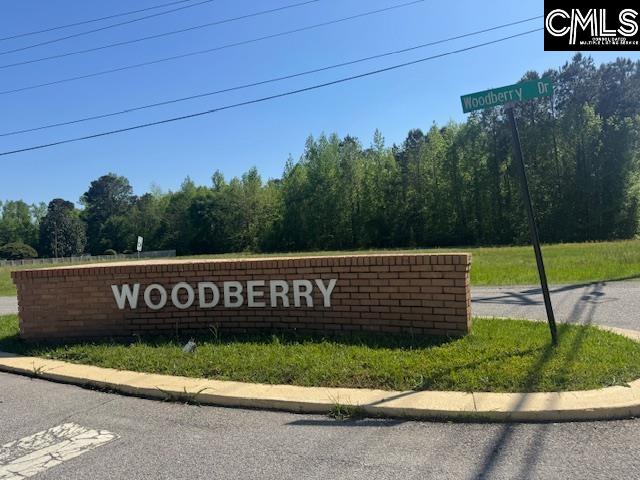 451 Woodberry Drive, Orangeburg, South Carolina image 18