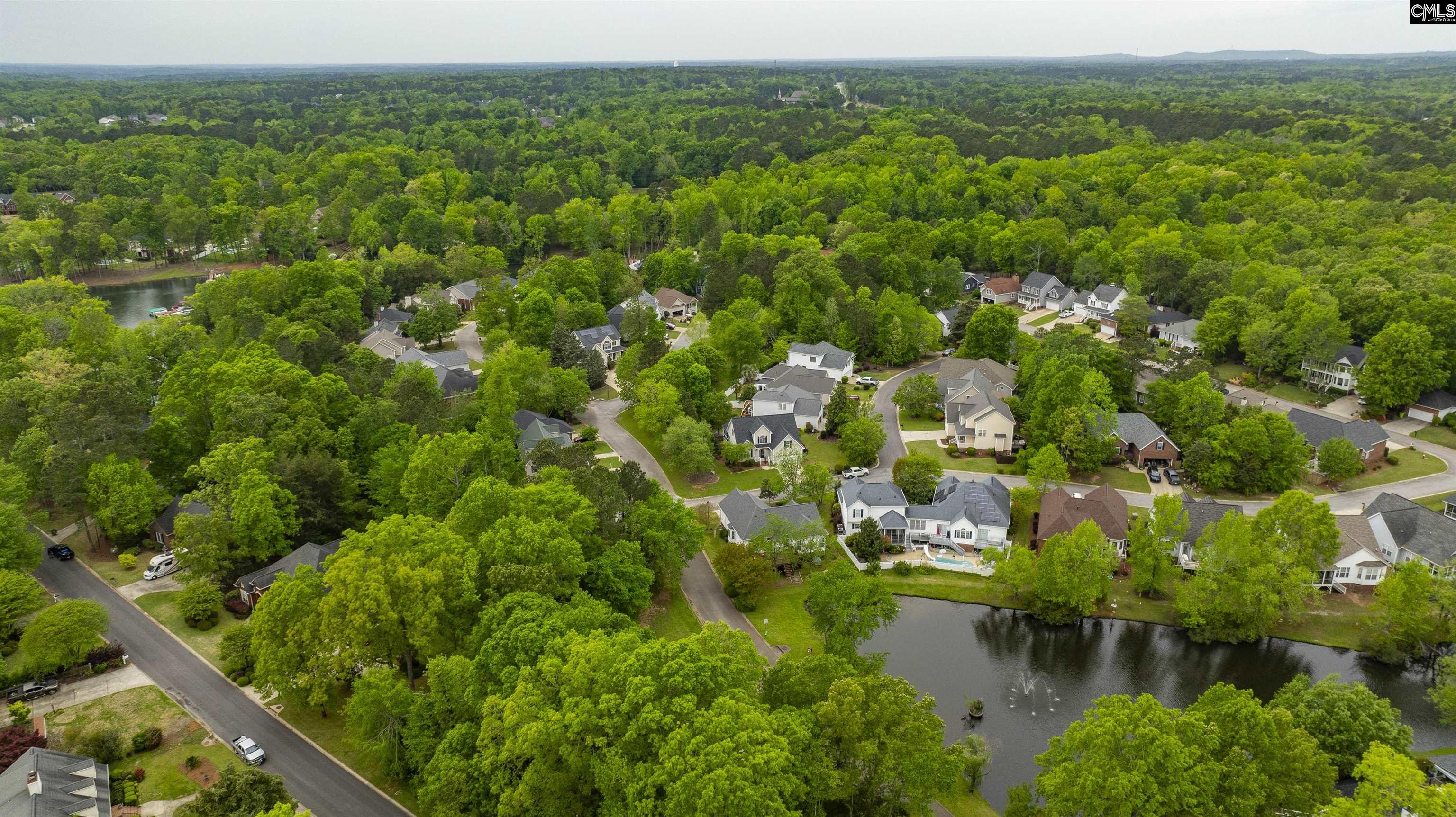 124 Pond Edge Lane Chapin, SC 29036