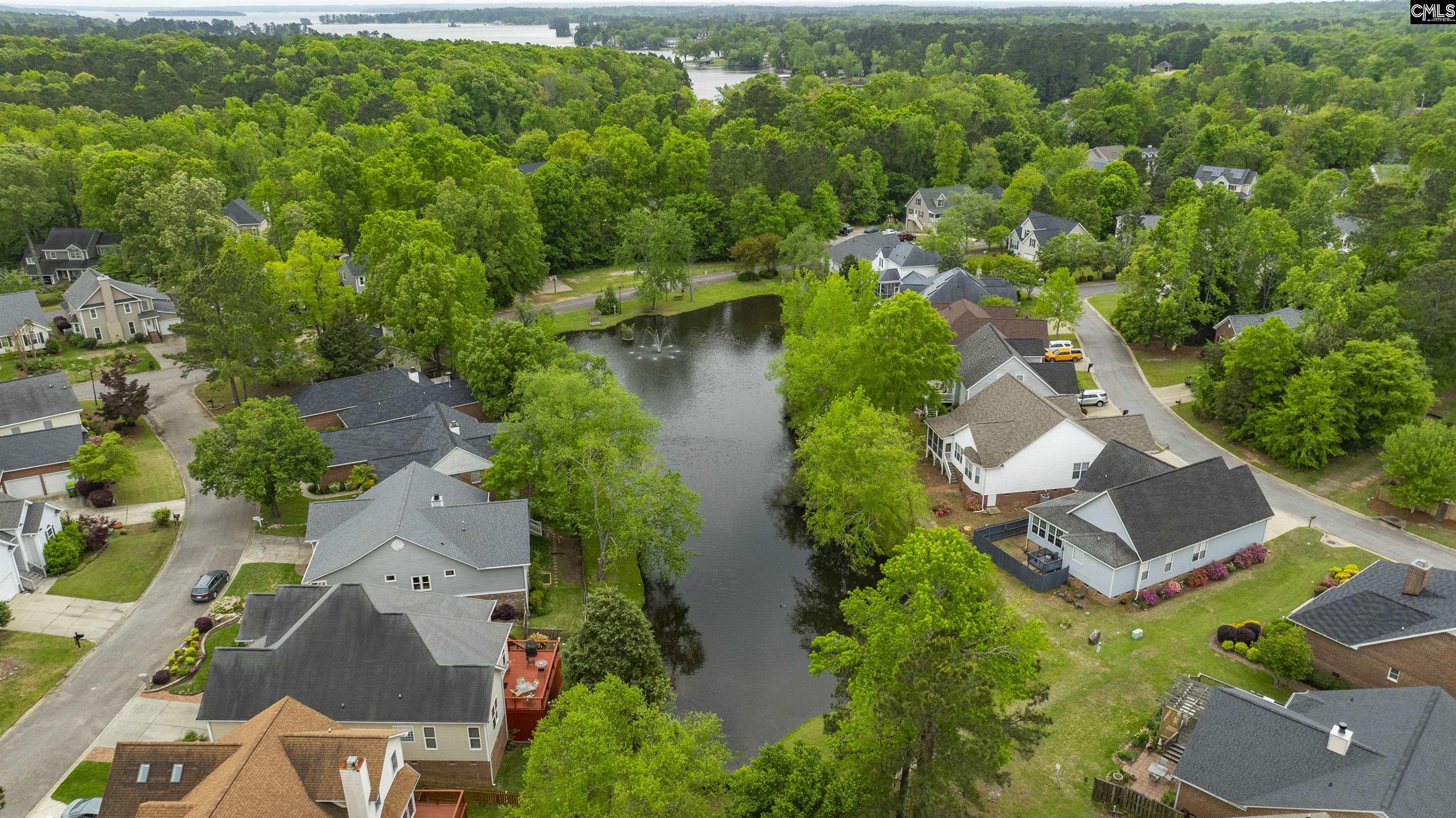 124 Pond Edge Lane Chapin, SC 29036