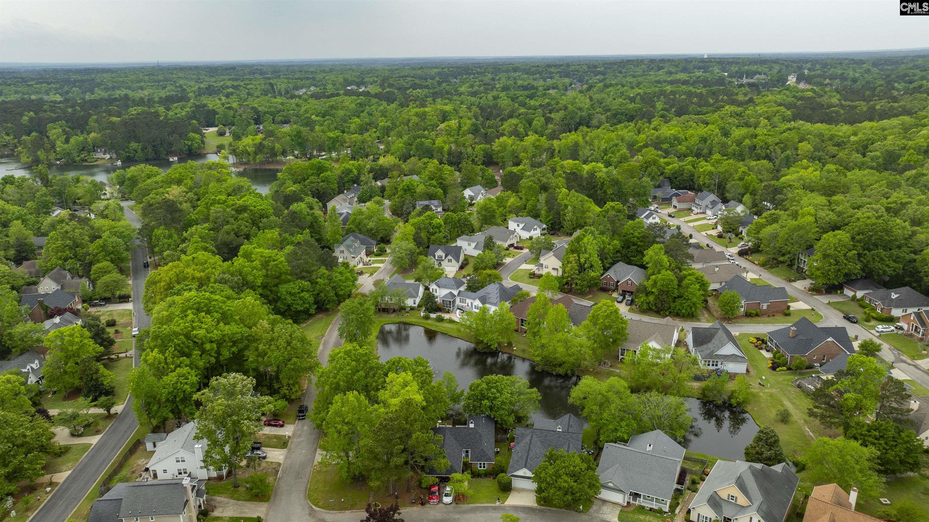 124 Pond Edge Lane Chapin, SC 29036