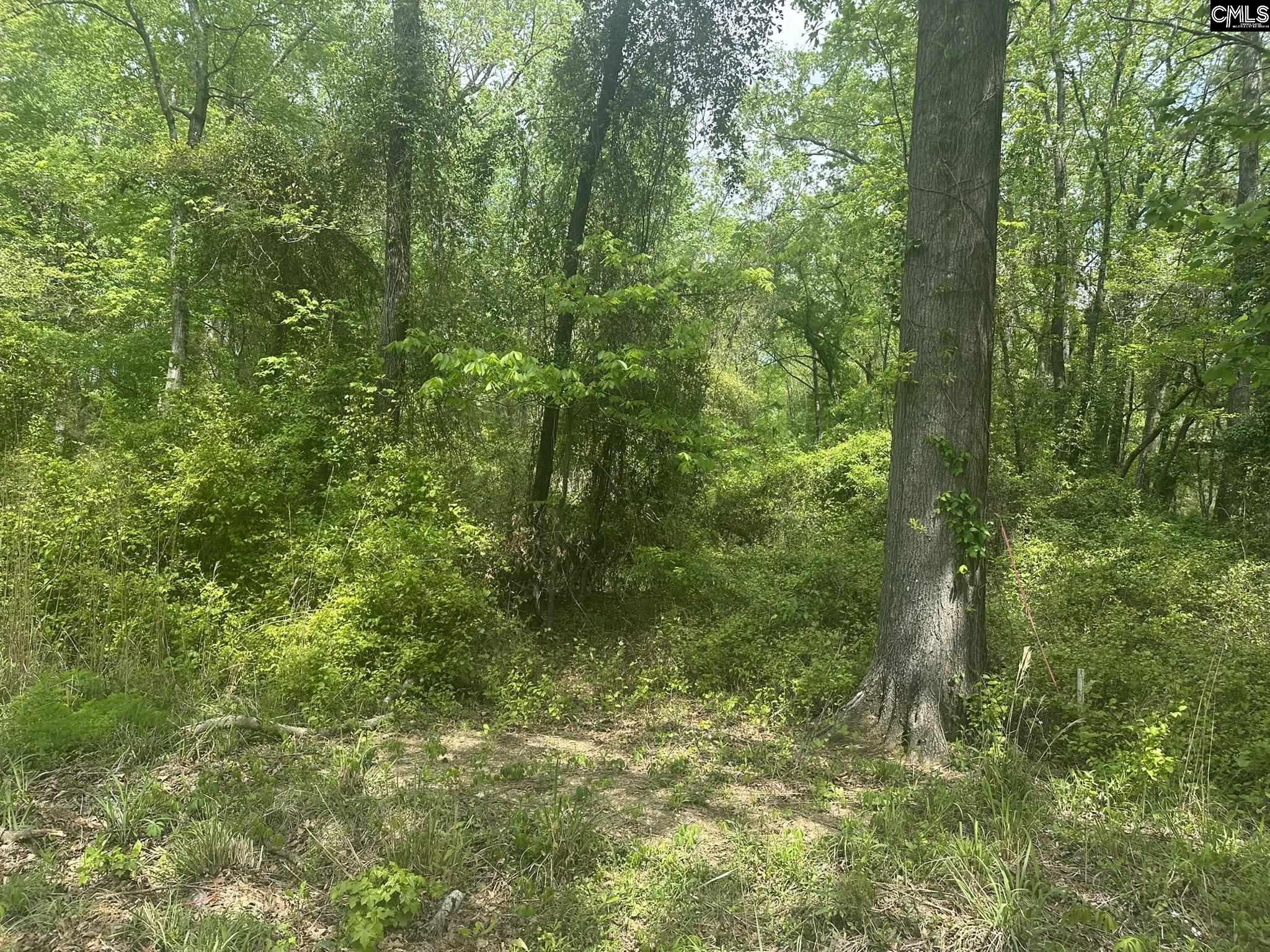 440 Paschal Road Elgin, SC 29045