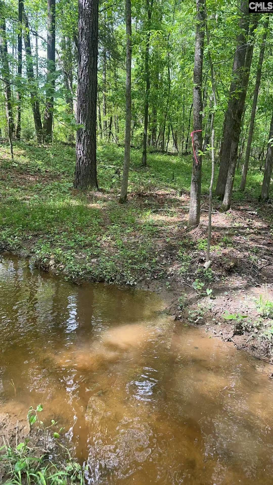 440 Paschal Road Elgin, SC 29045