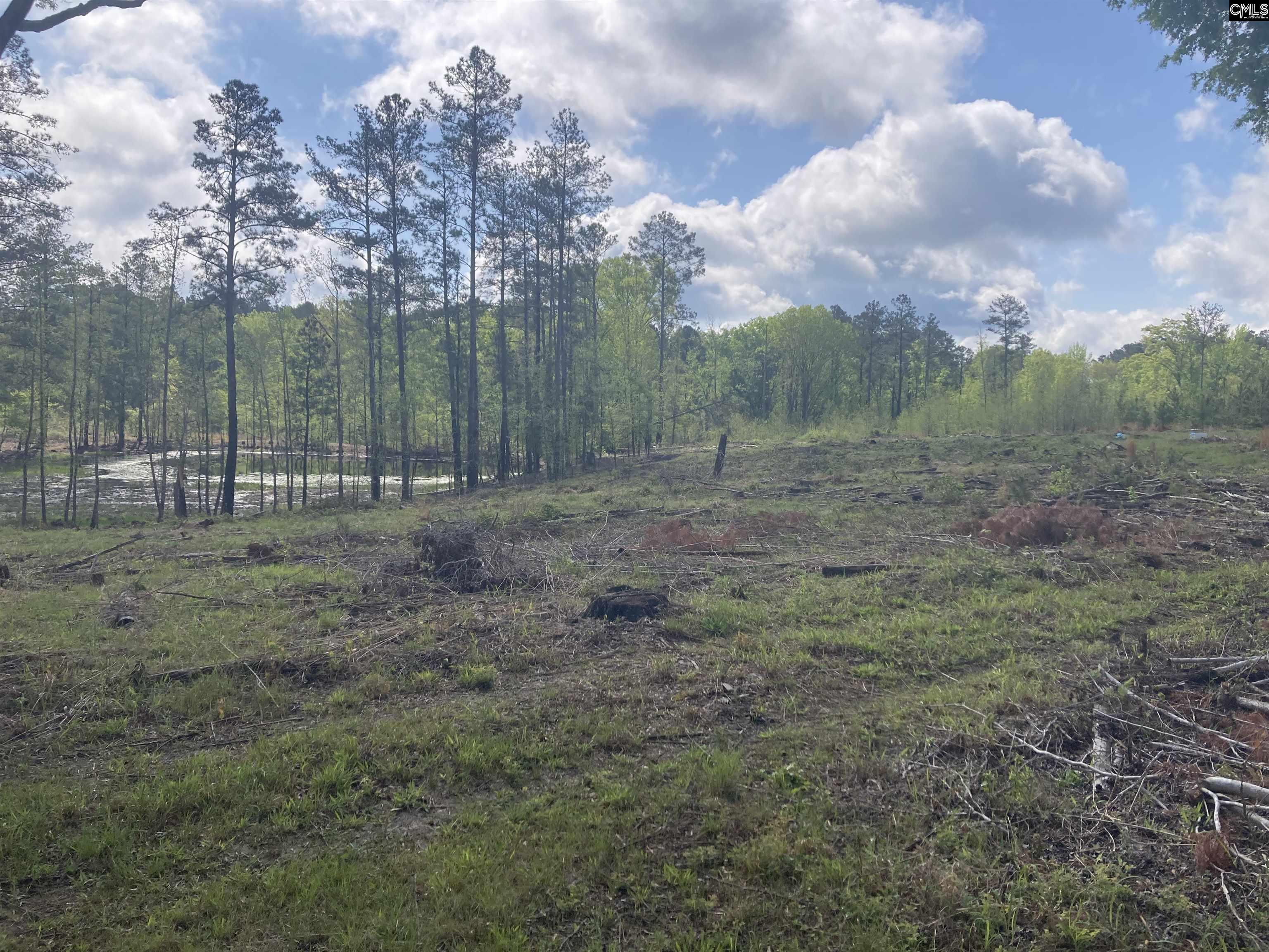 Wood Duck Road Ridgeway, SC 29130-0000
