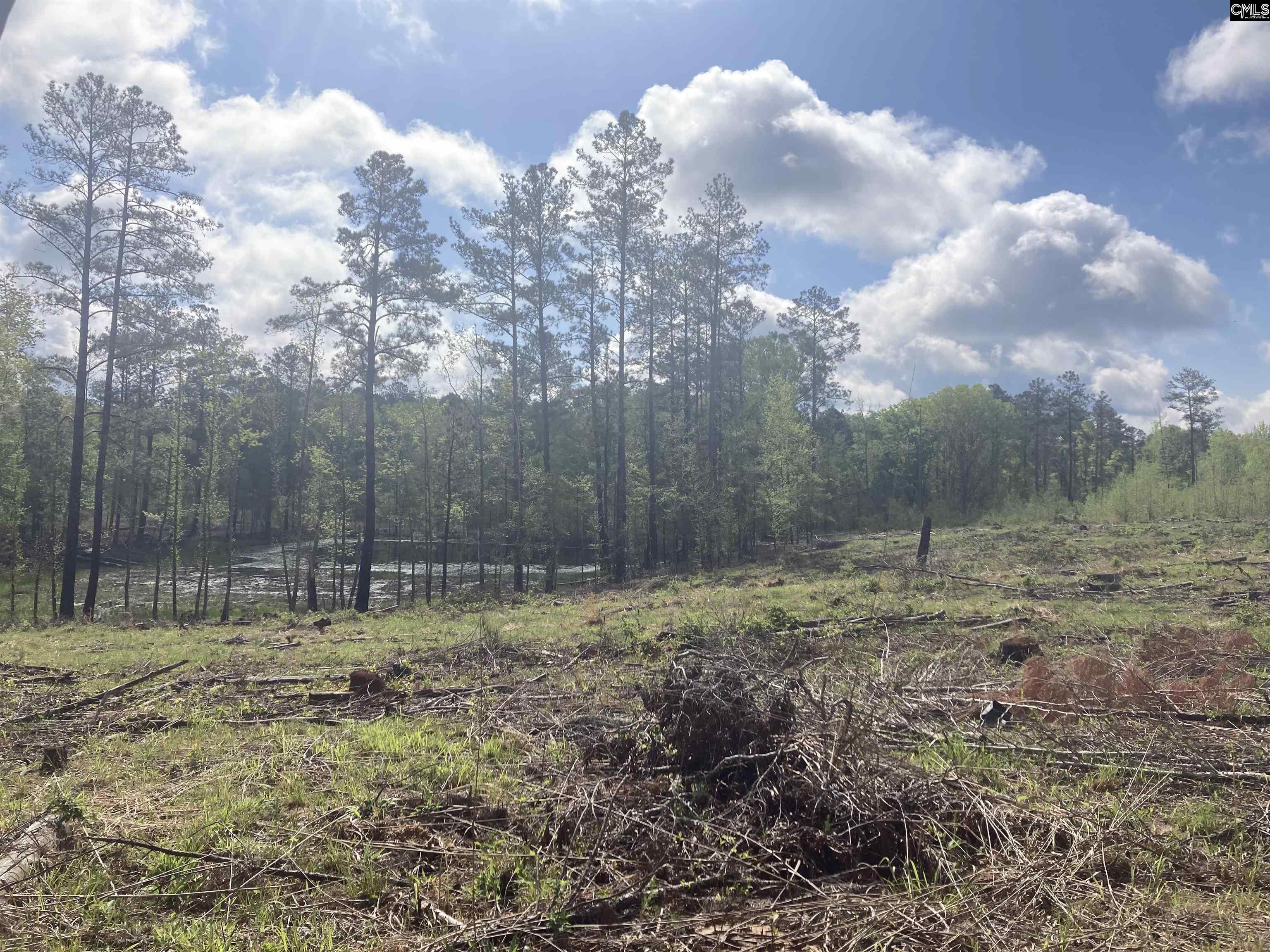 Wood Duck Road Ridgeway, SC 29130-0000