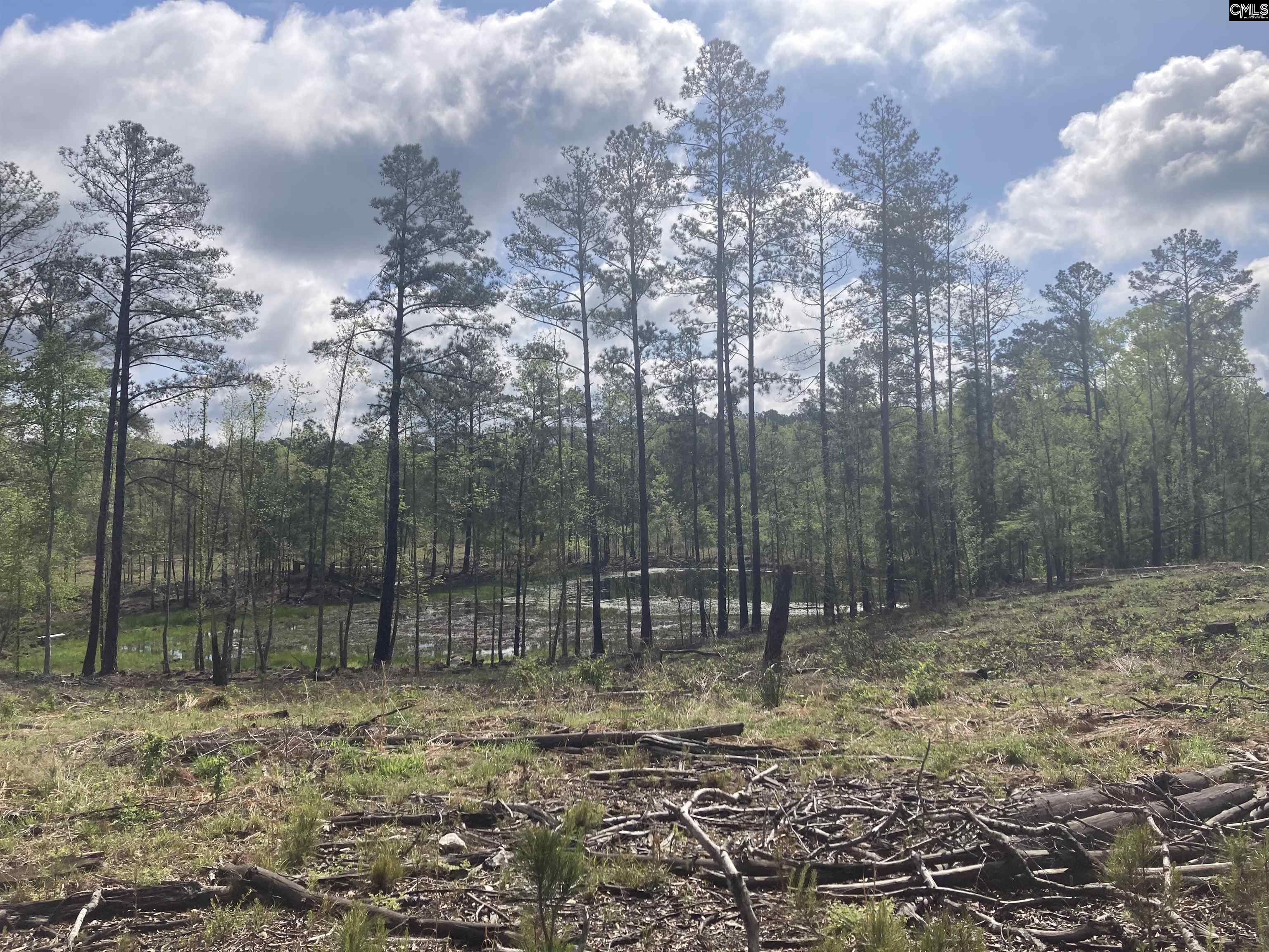 Wood Duck Road Ridgeway, SC 29130-0000
