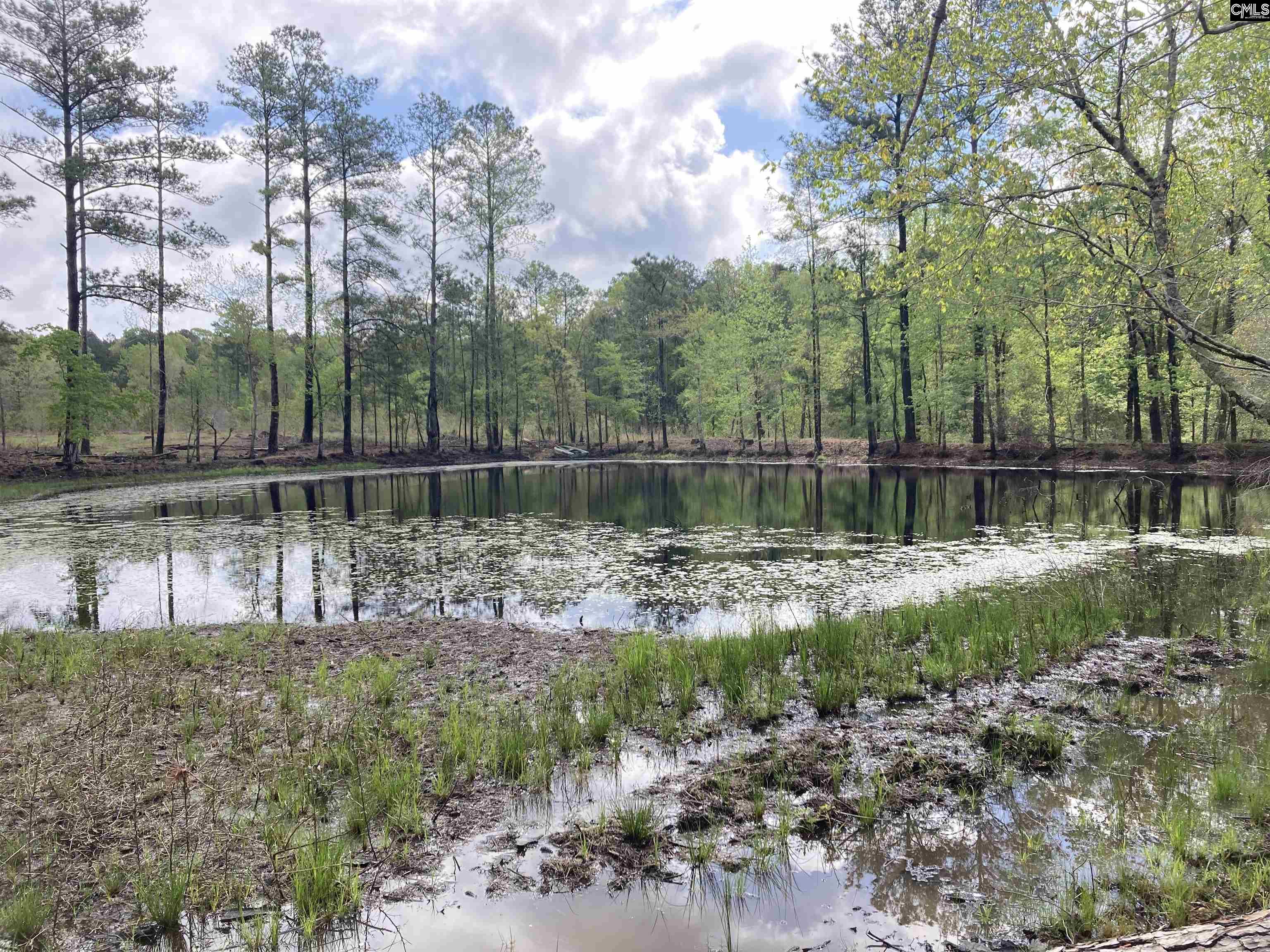 Wood Duck Road Ridgeway, SC 29130-0000