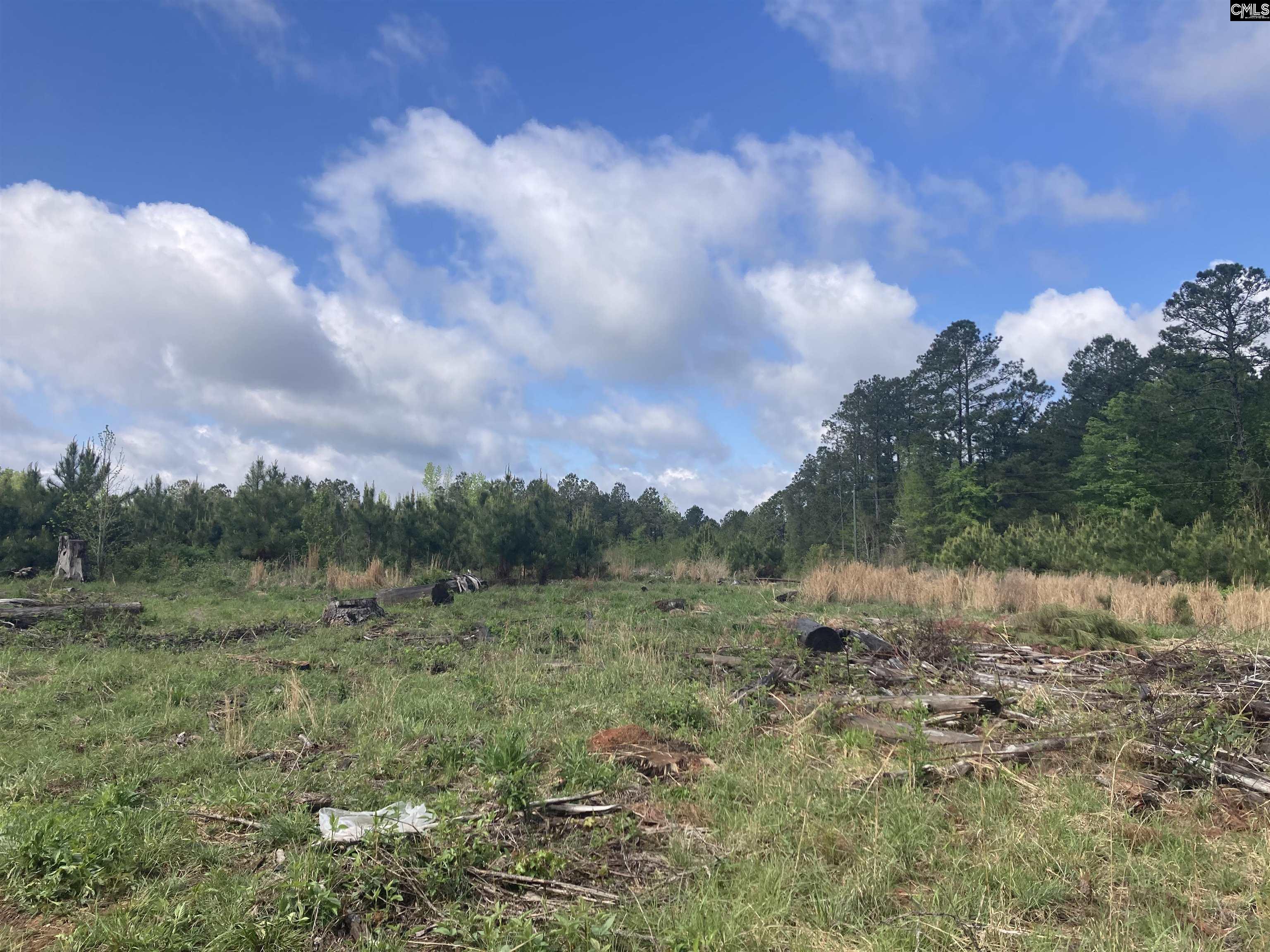 Wood Duck Road Ridgeway, SC 29130-0000