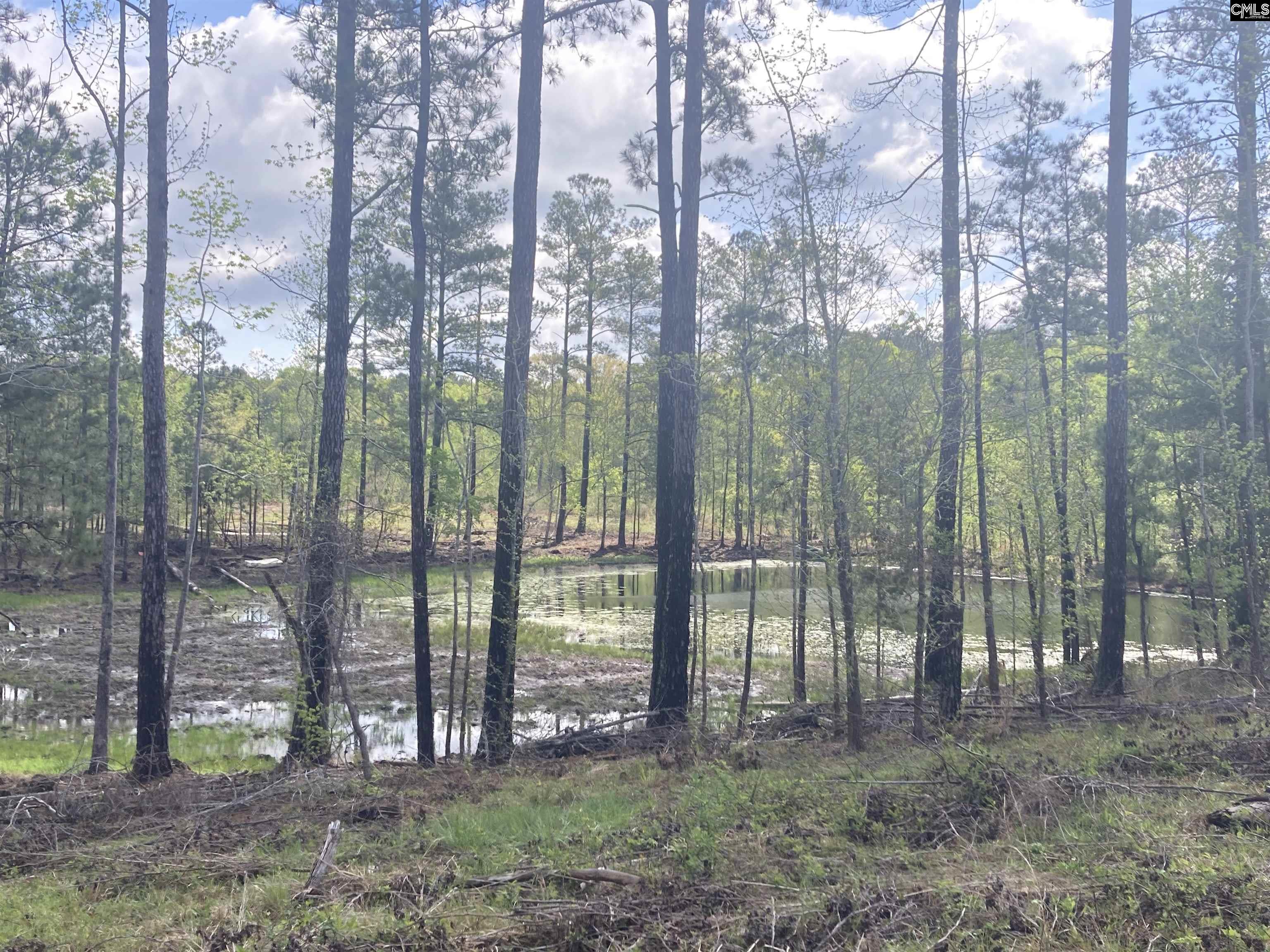 Wood Duck Road Ridgeway, SC 29130-0000
