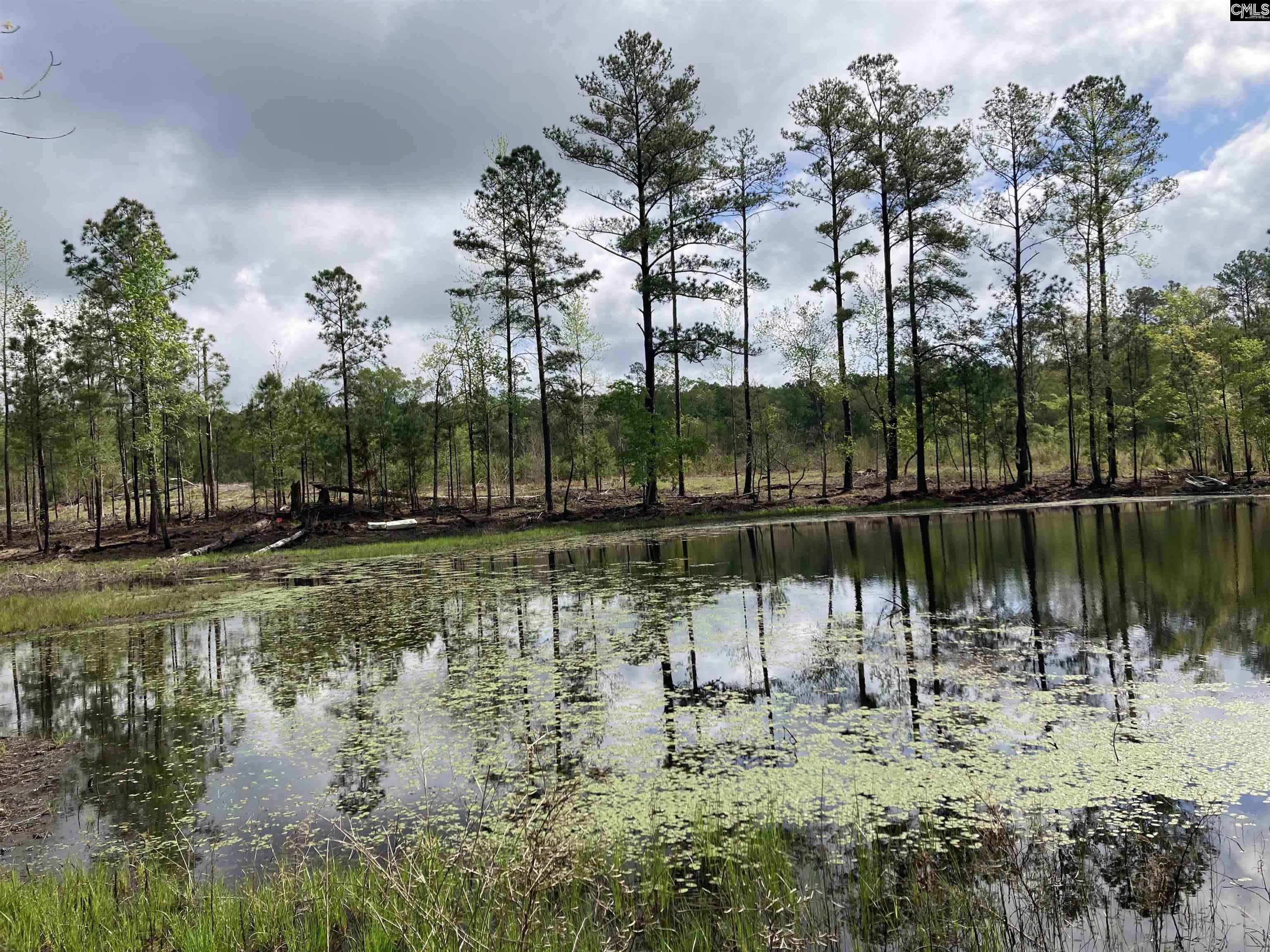 Wood Duck Road Ridgeway, SC 29130-0000