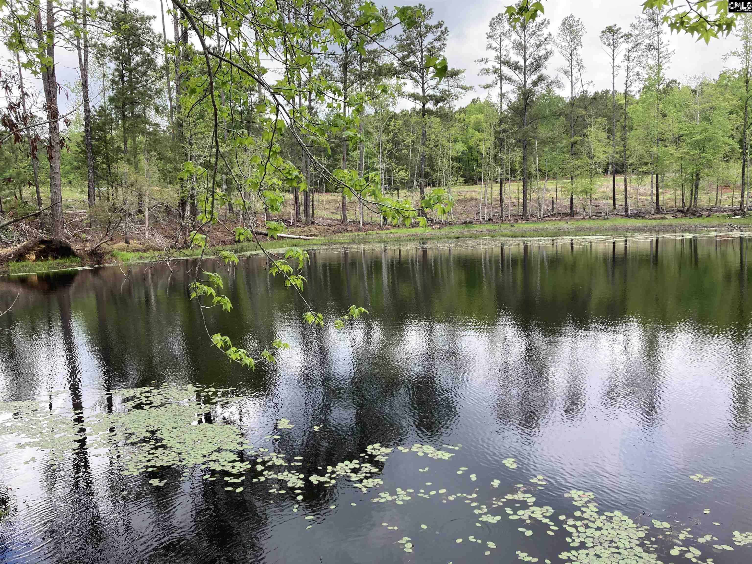 Wood Duck Road Ridgeway, SC 29130-0000
