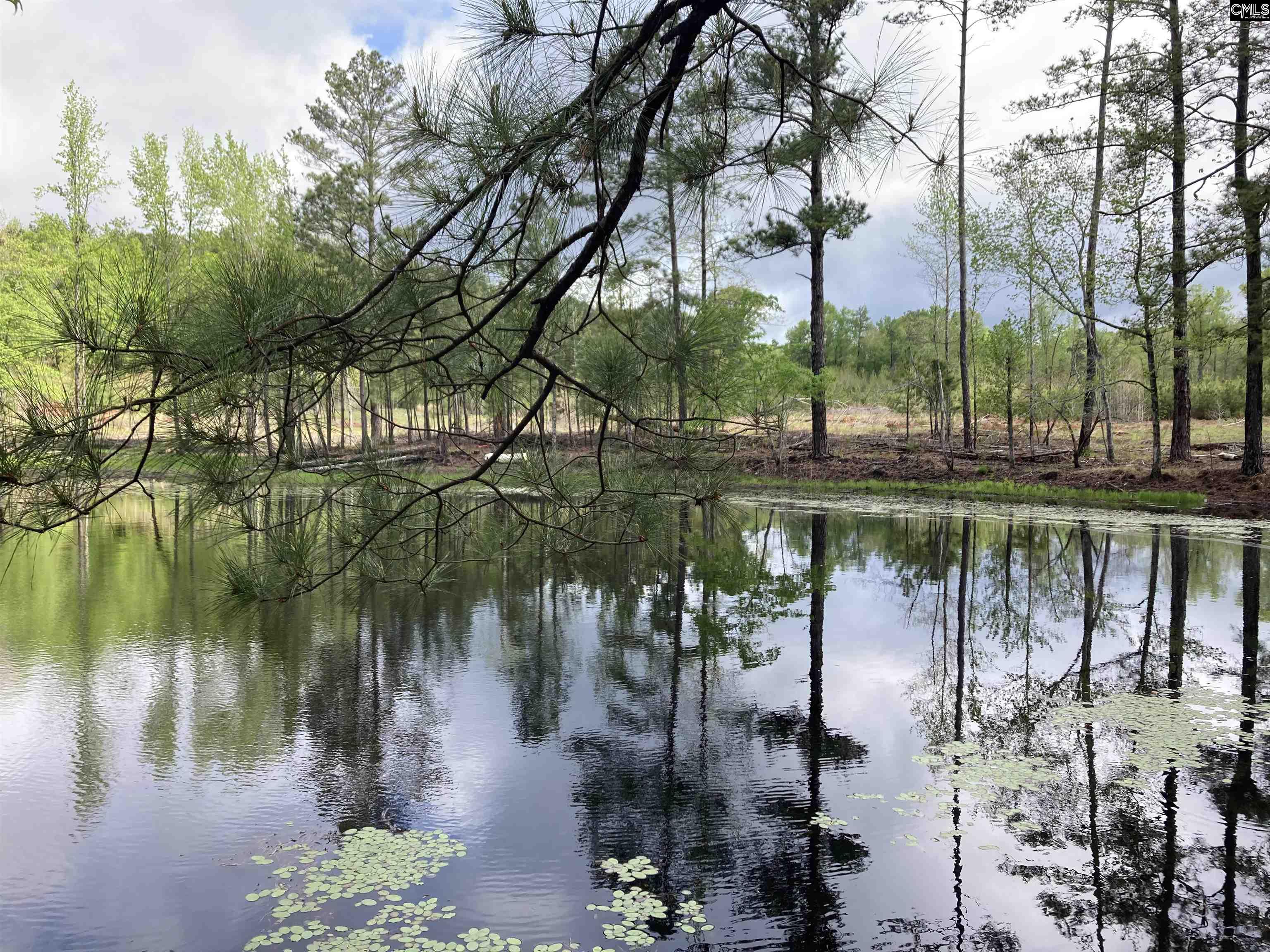 Wood Duck Road Ridgeway, SC 29130-0000