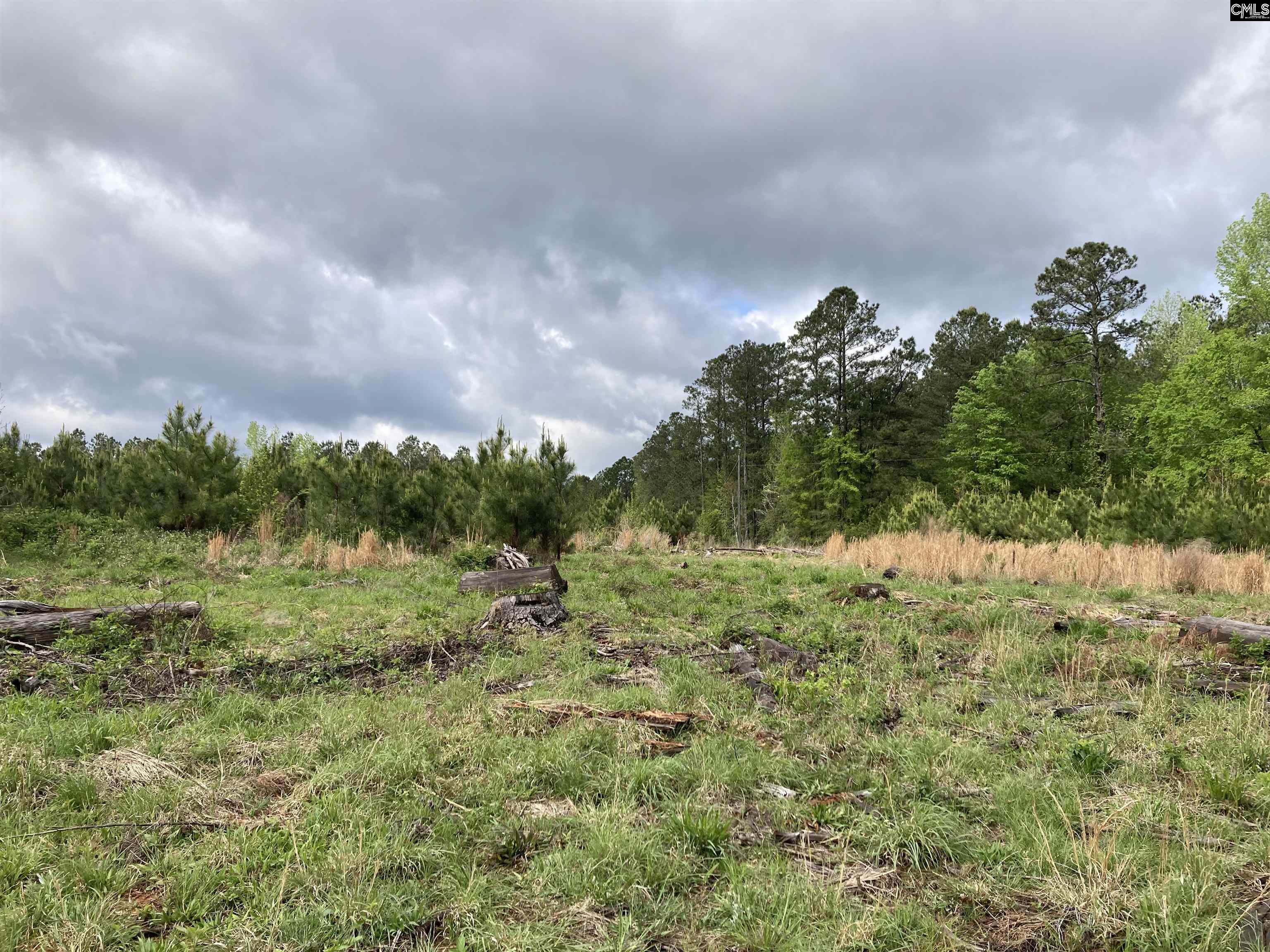 Wood Duck Road Ridgeway, SC 29130-0000