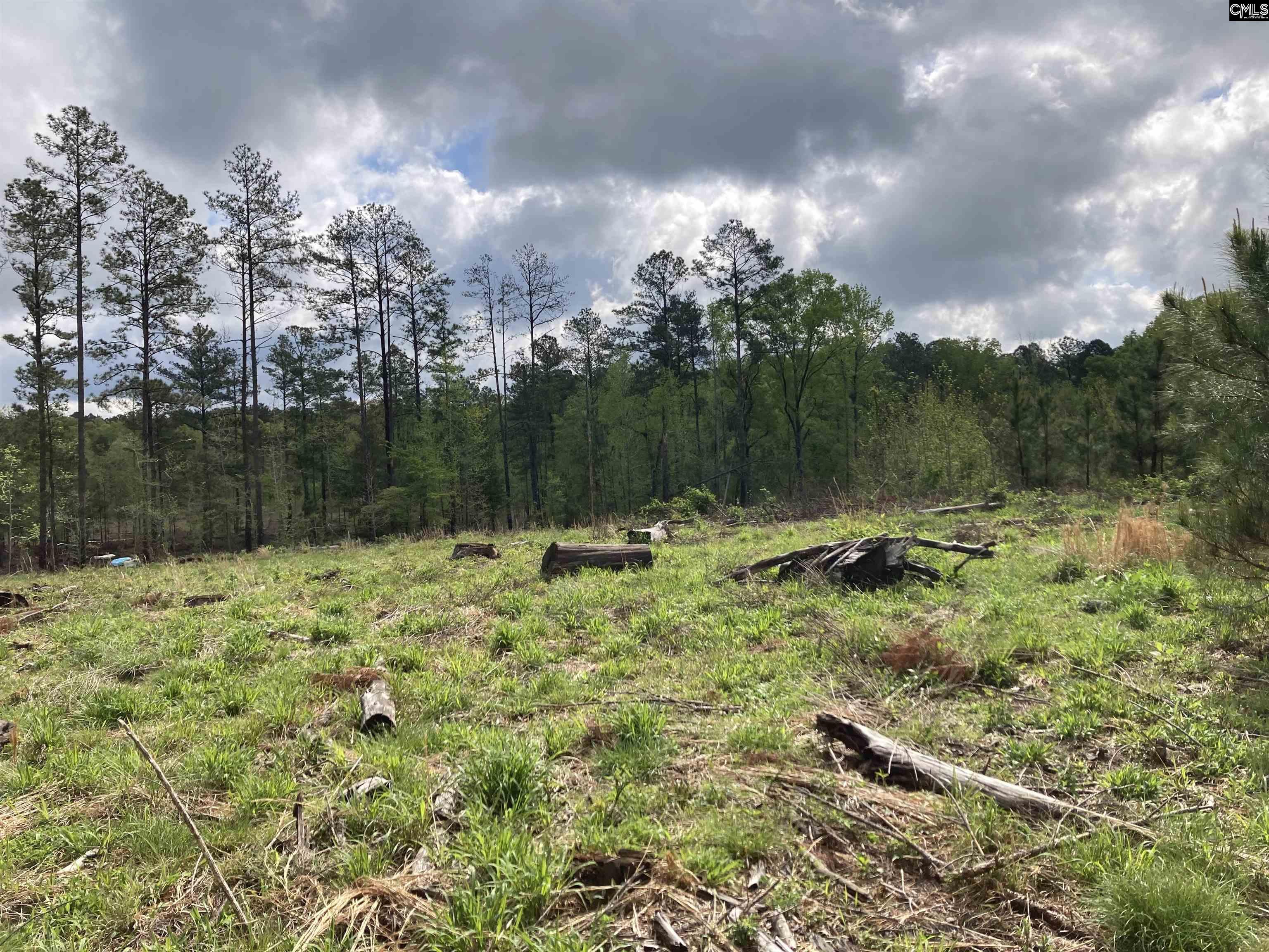 Wood Duck Road Ridgeway, SC 29130-0000