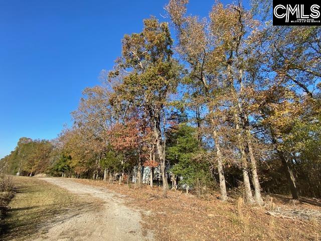 1016 Artic Loop Columbia, SC 29212-7918