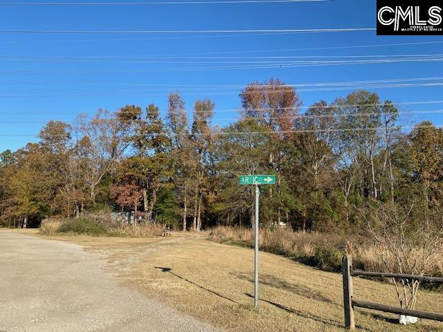 1016 Artic Loop Columbia, SC 29212-7918