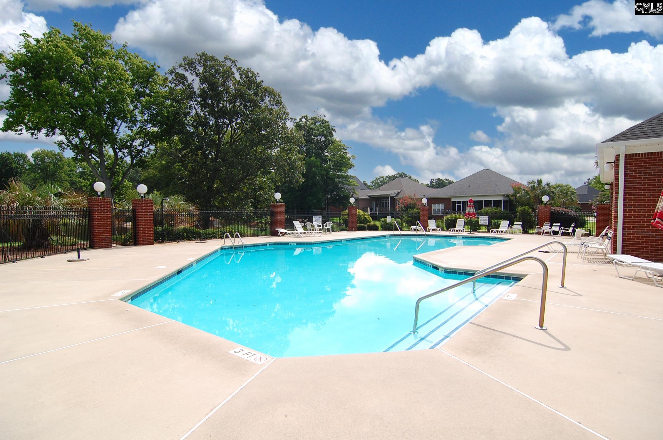 14 Hilton Glen Court, Chapin, South Carolina image 45