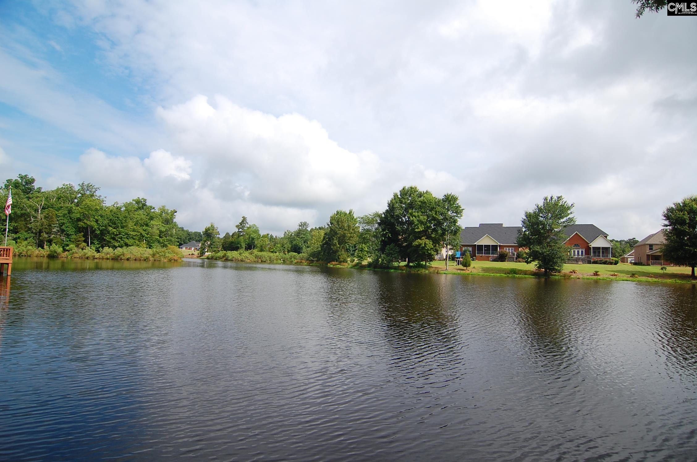 14 Hilton Glen Court, Chapin, South Carolina image 47