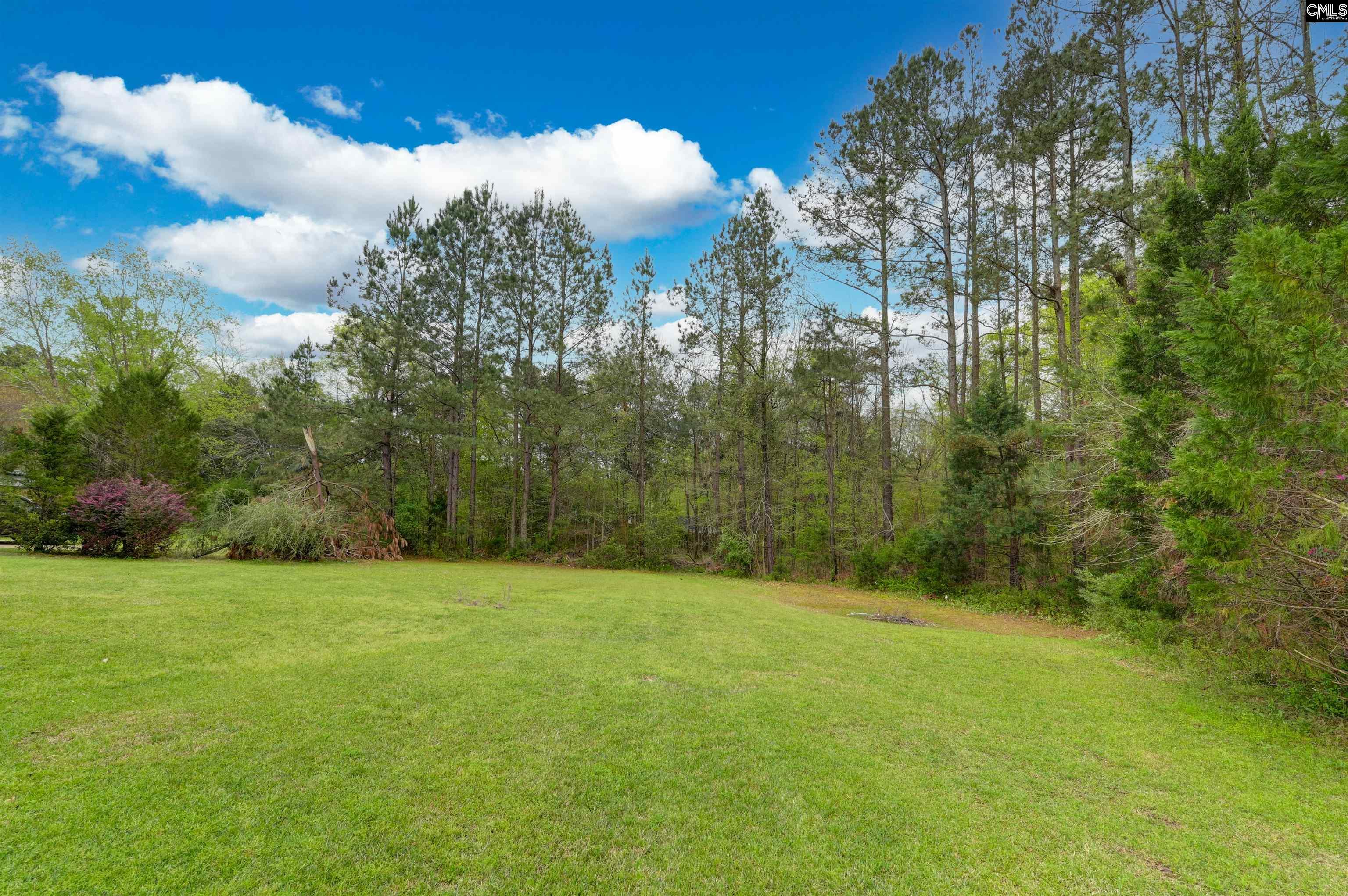14 Hilton Glen Court, Chapin, South Carolina image 8