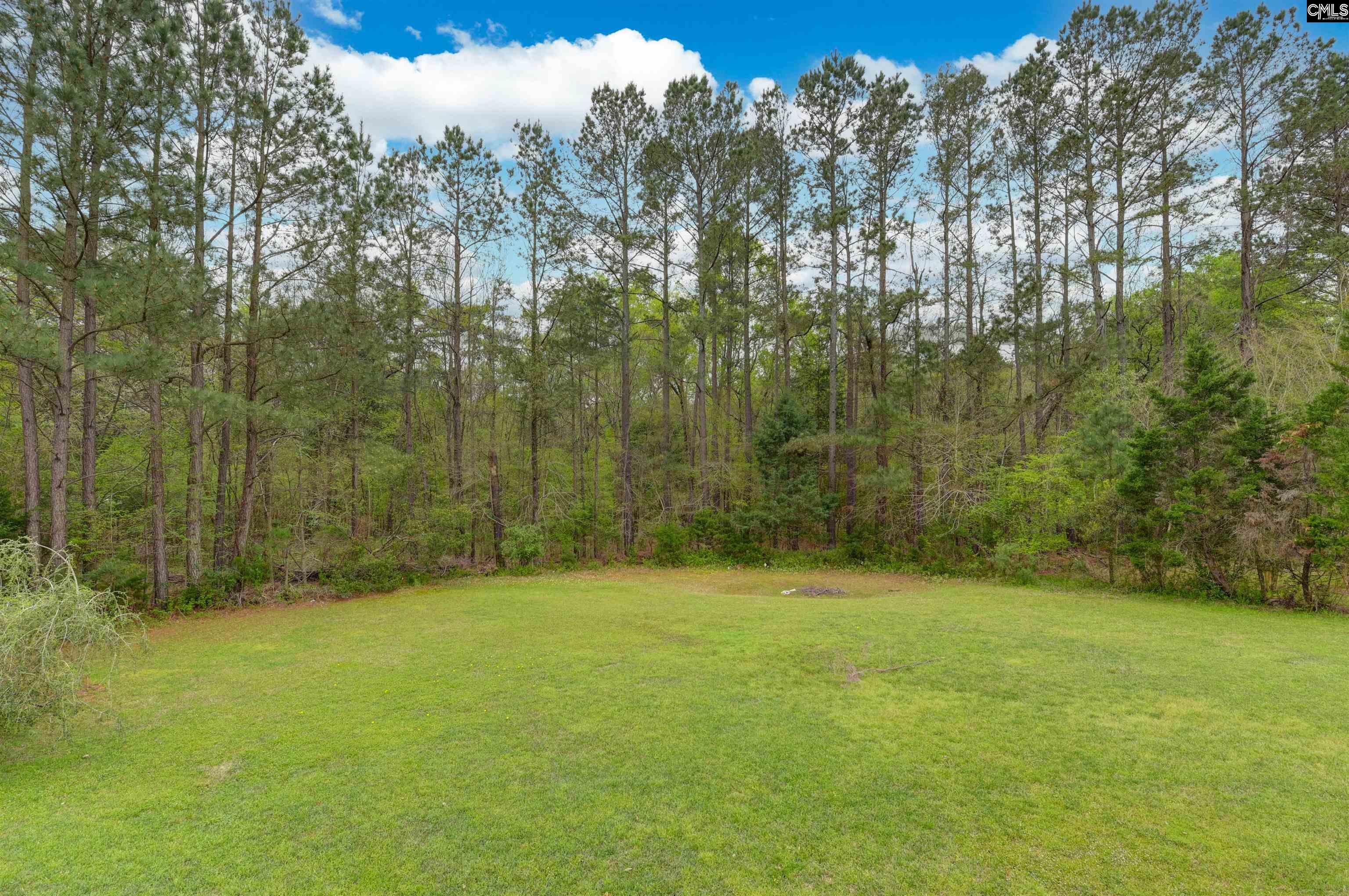 14 Hilton Glen Court, Chapin, South Carolina image 9