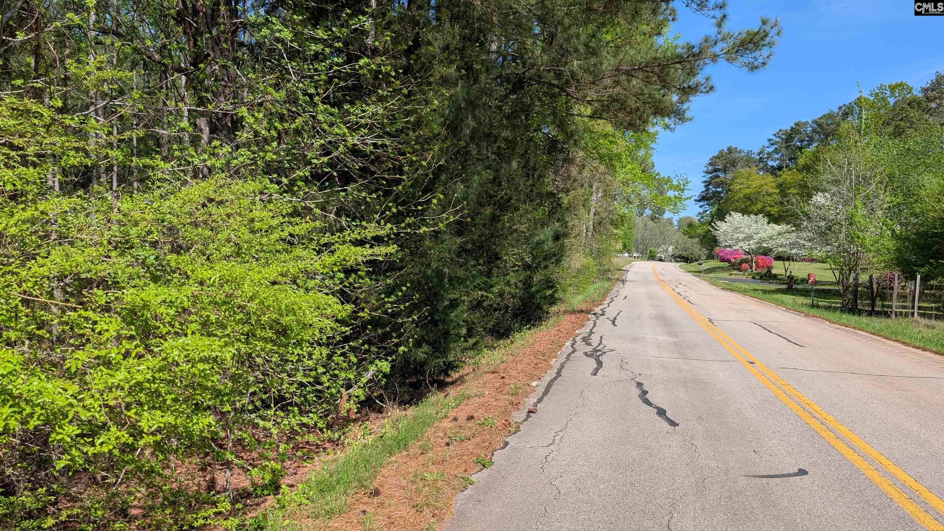 TBD Boyd Road, Blackstock, South Carolina image 1
