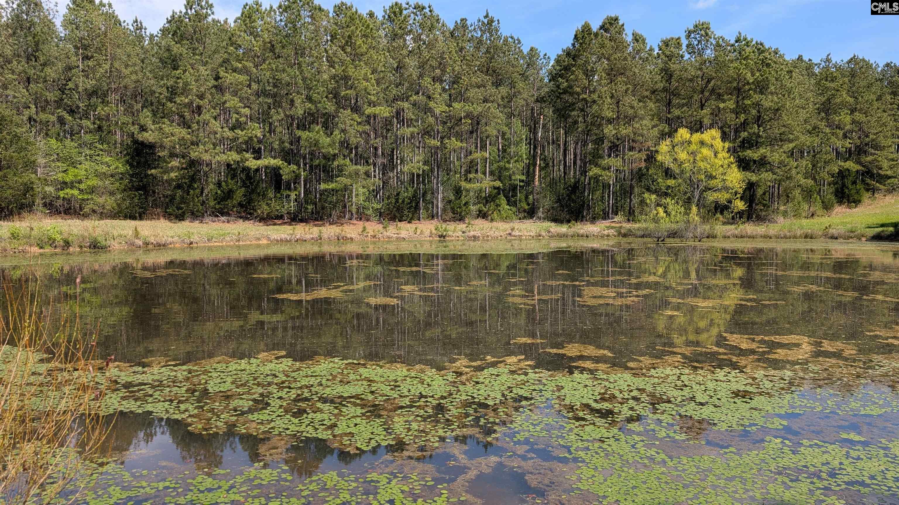 TBD Boyd Road, Blackstock, South Carolina image 2