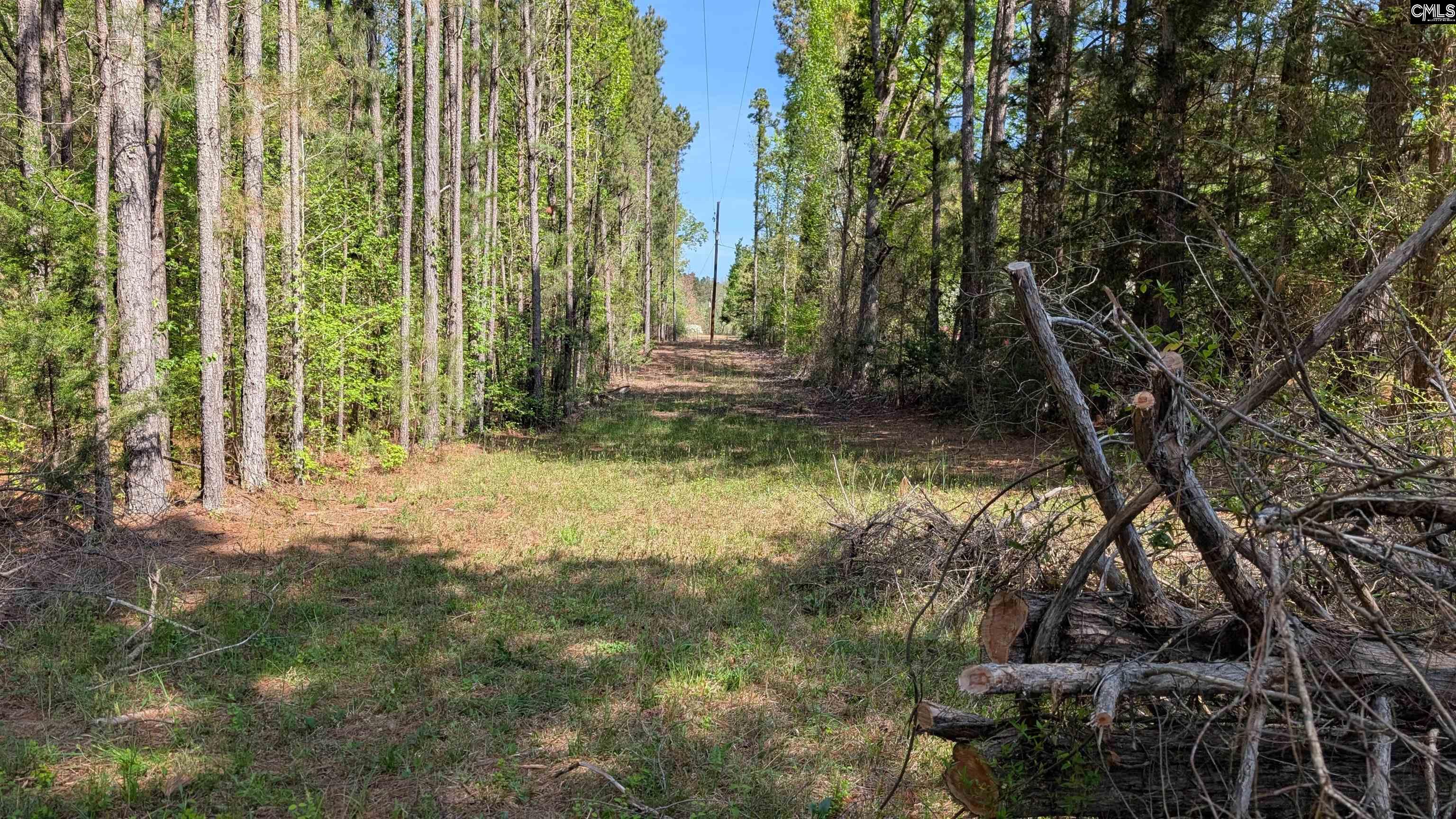 TBD Boyd Road, Blackstock, South Carolina image 13