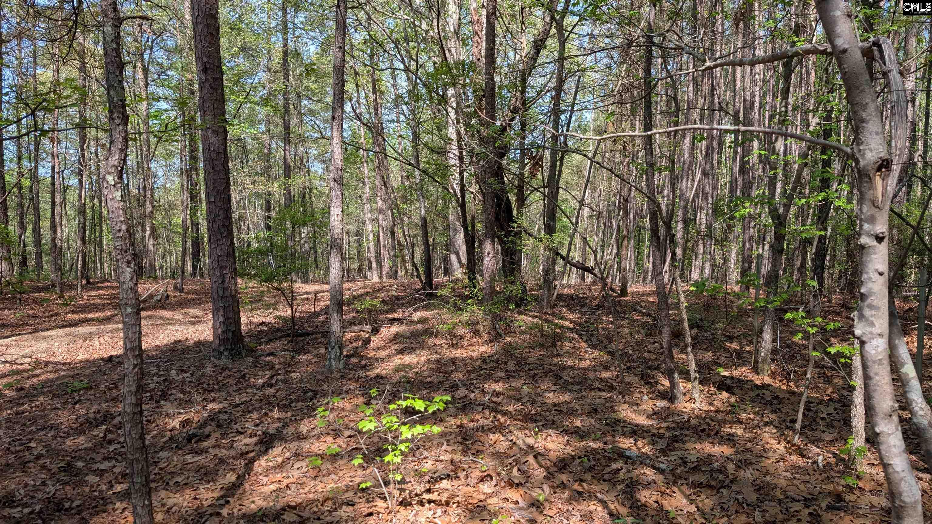 TBD Boyd Road, Blackstock, South Carolina image 15
