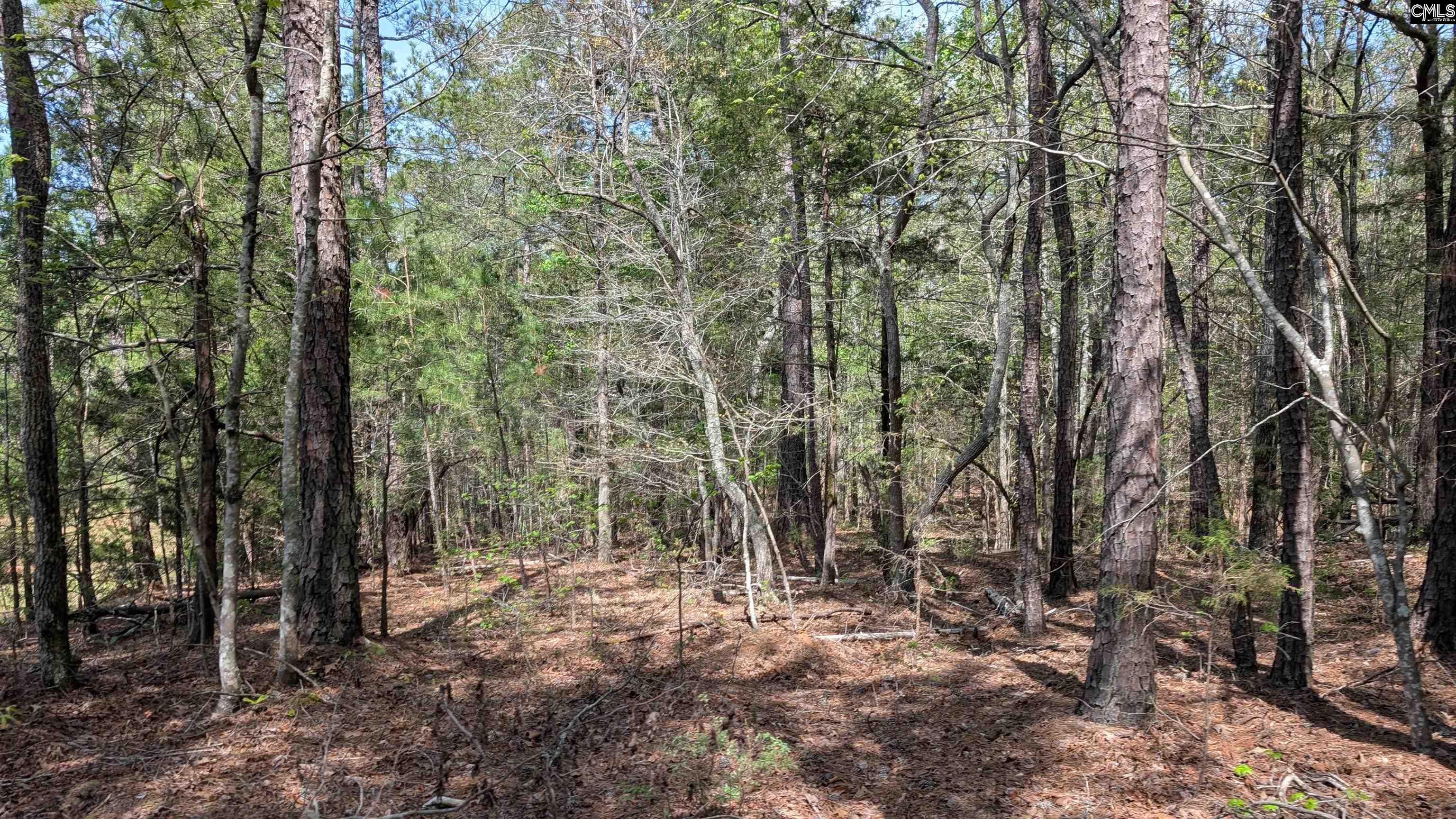TBD Boyd Road, Blackstock, South Carolina image 17