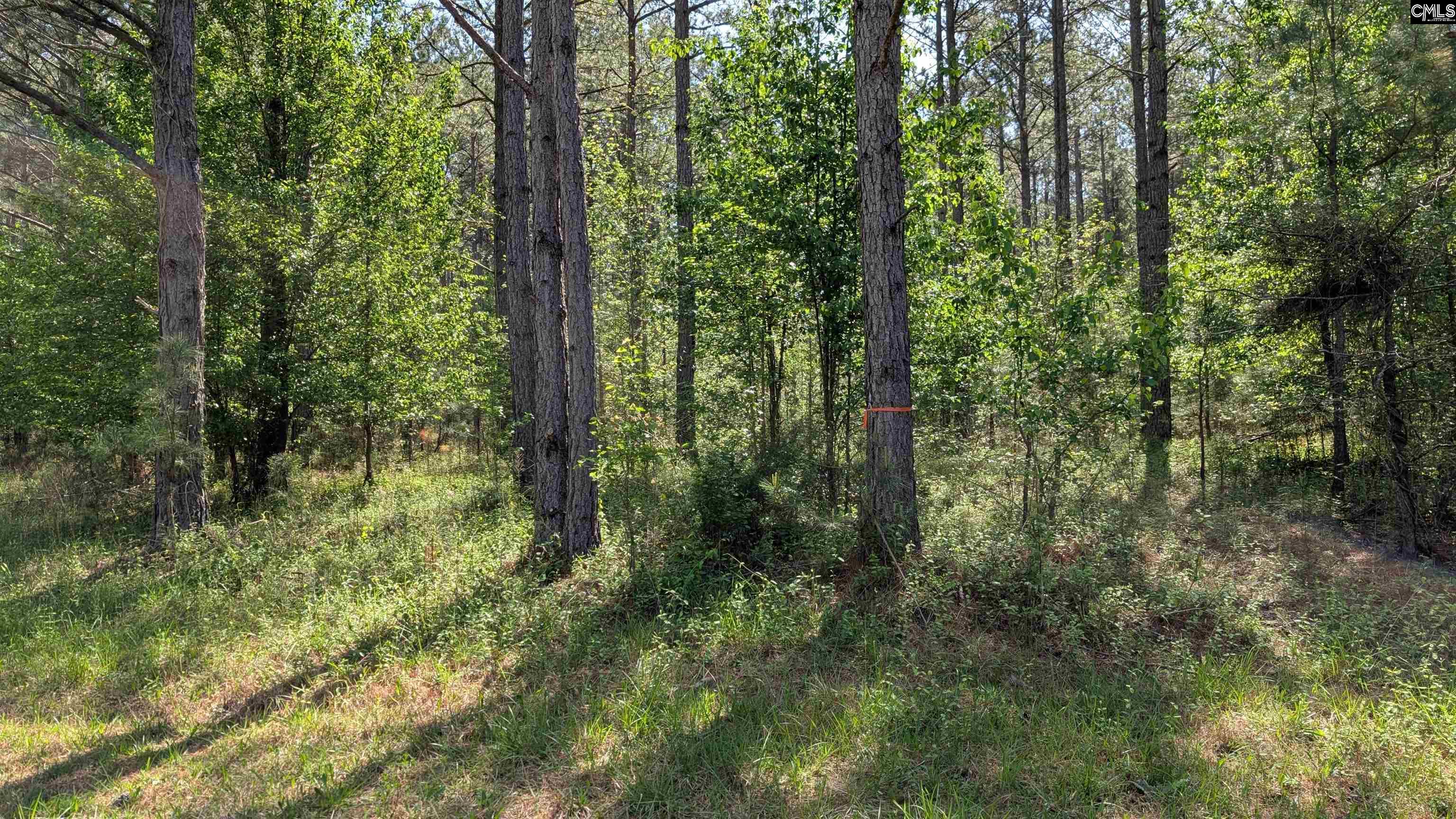 TBD Boyd Road, Blackstock, South Carolina image 19