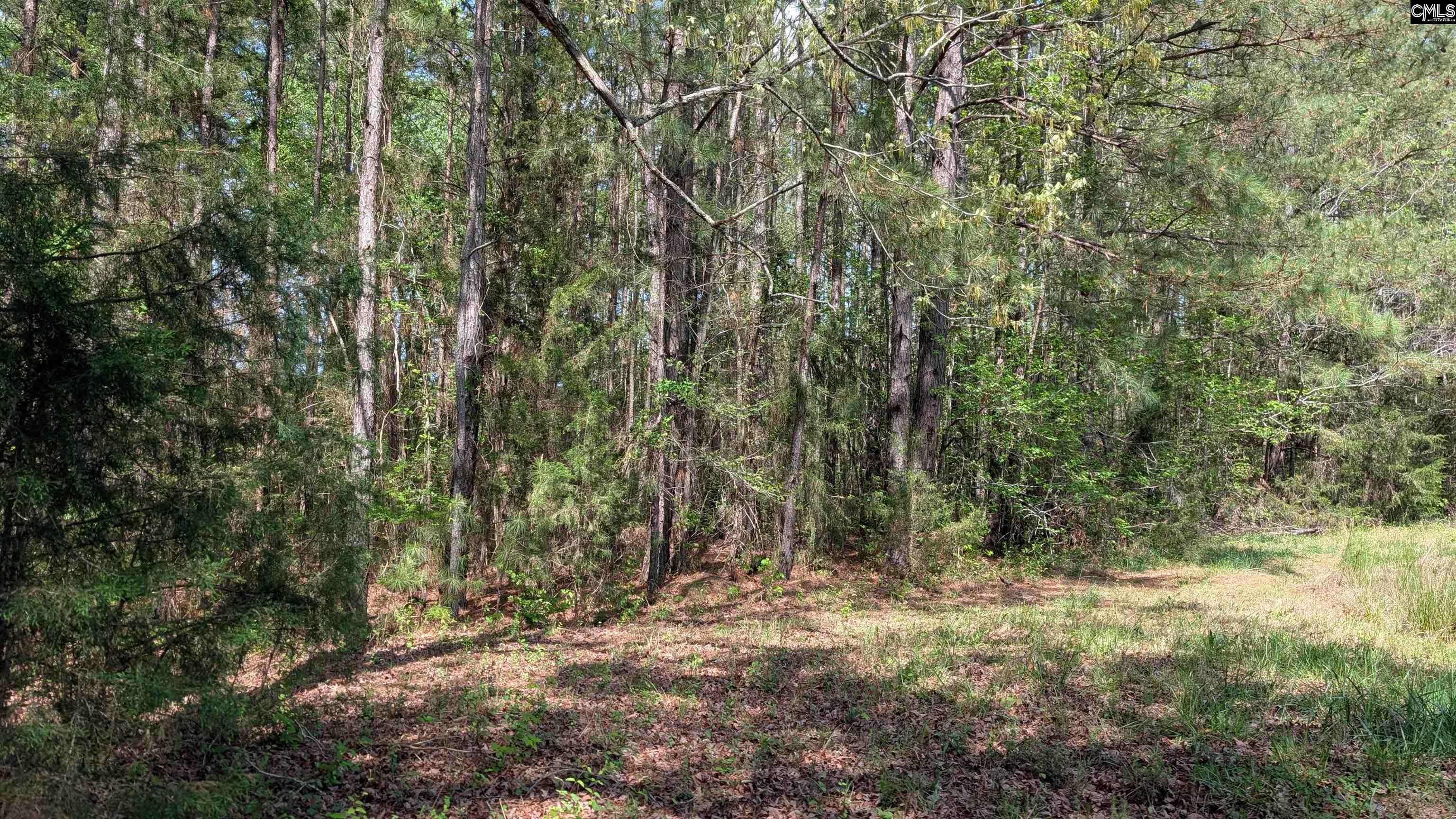 TBD Boyd Road, Blackstock, South Carolina image 21