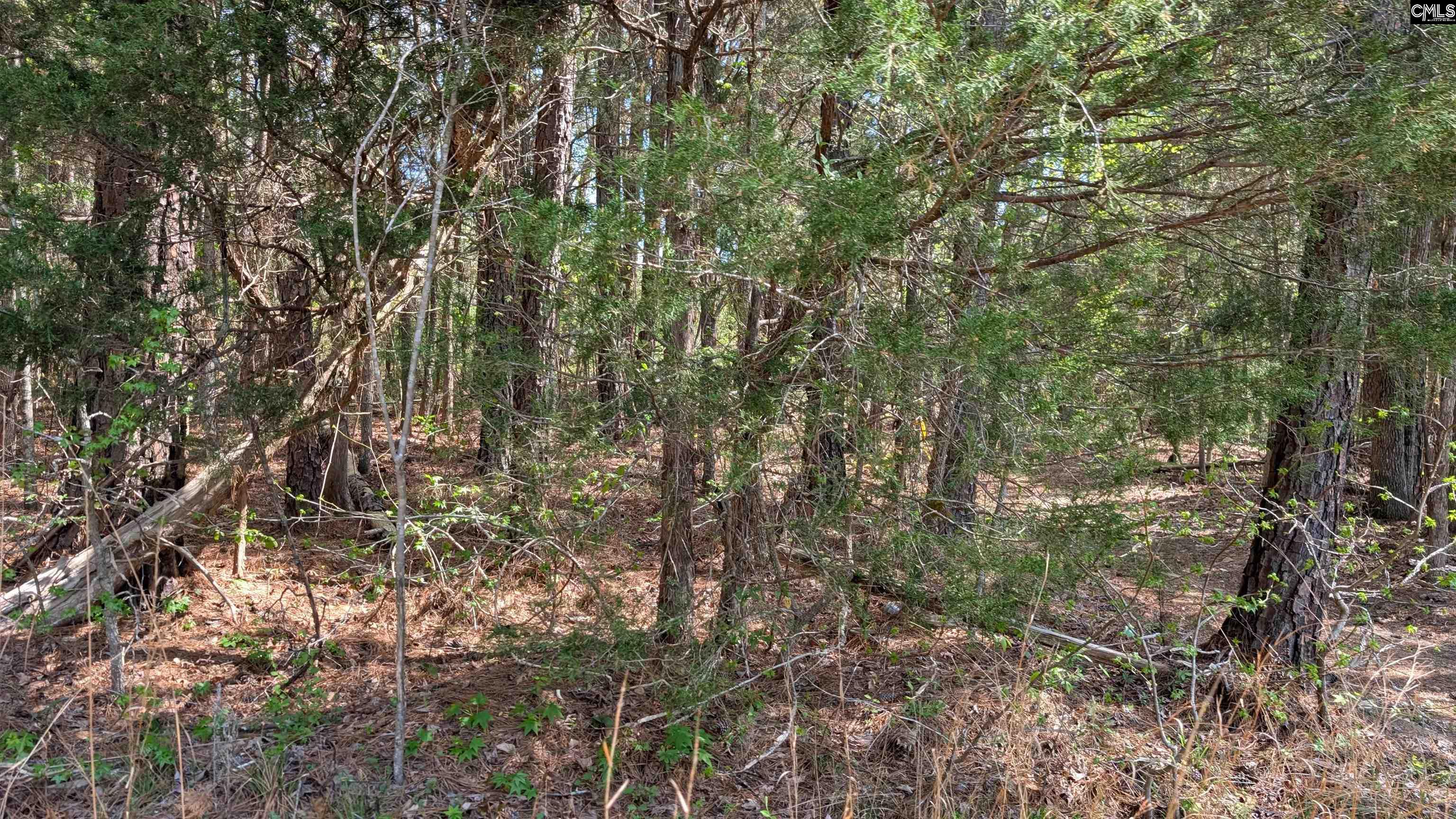 TBD Boyd Road, Blackstock, South Carolina image 24