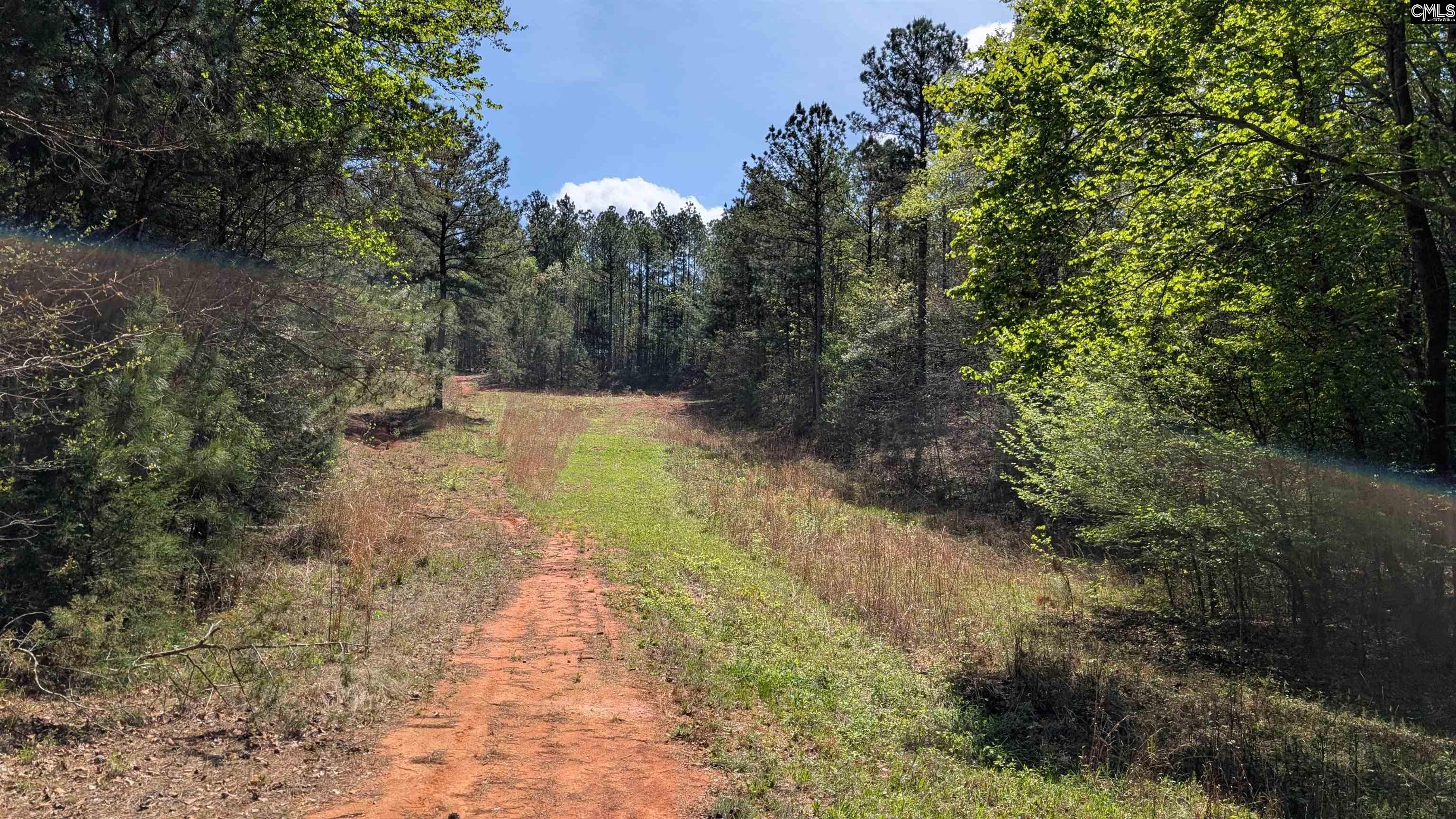 TBD Boyd Road, Blackstock, South Carolina image 26