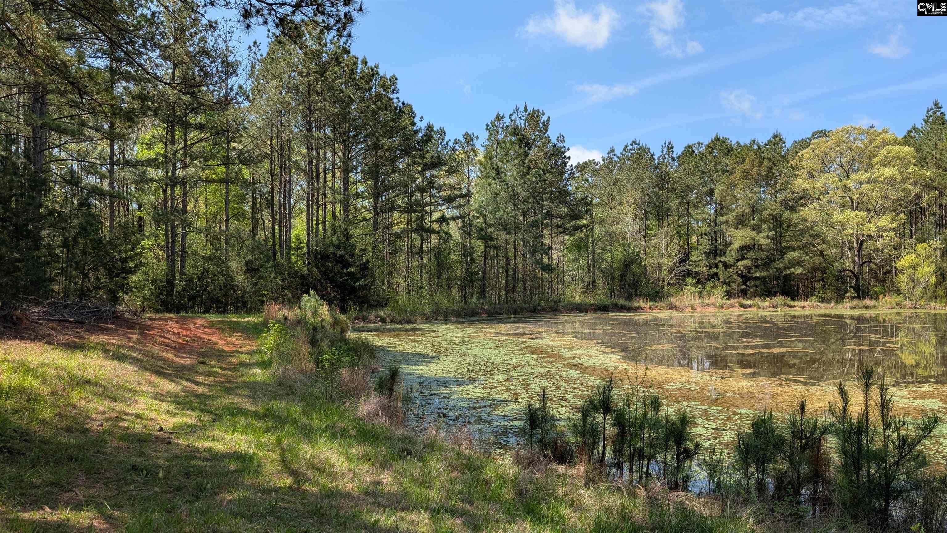 TBD Boyd Road, Blackstock, South Carolina image 5