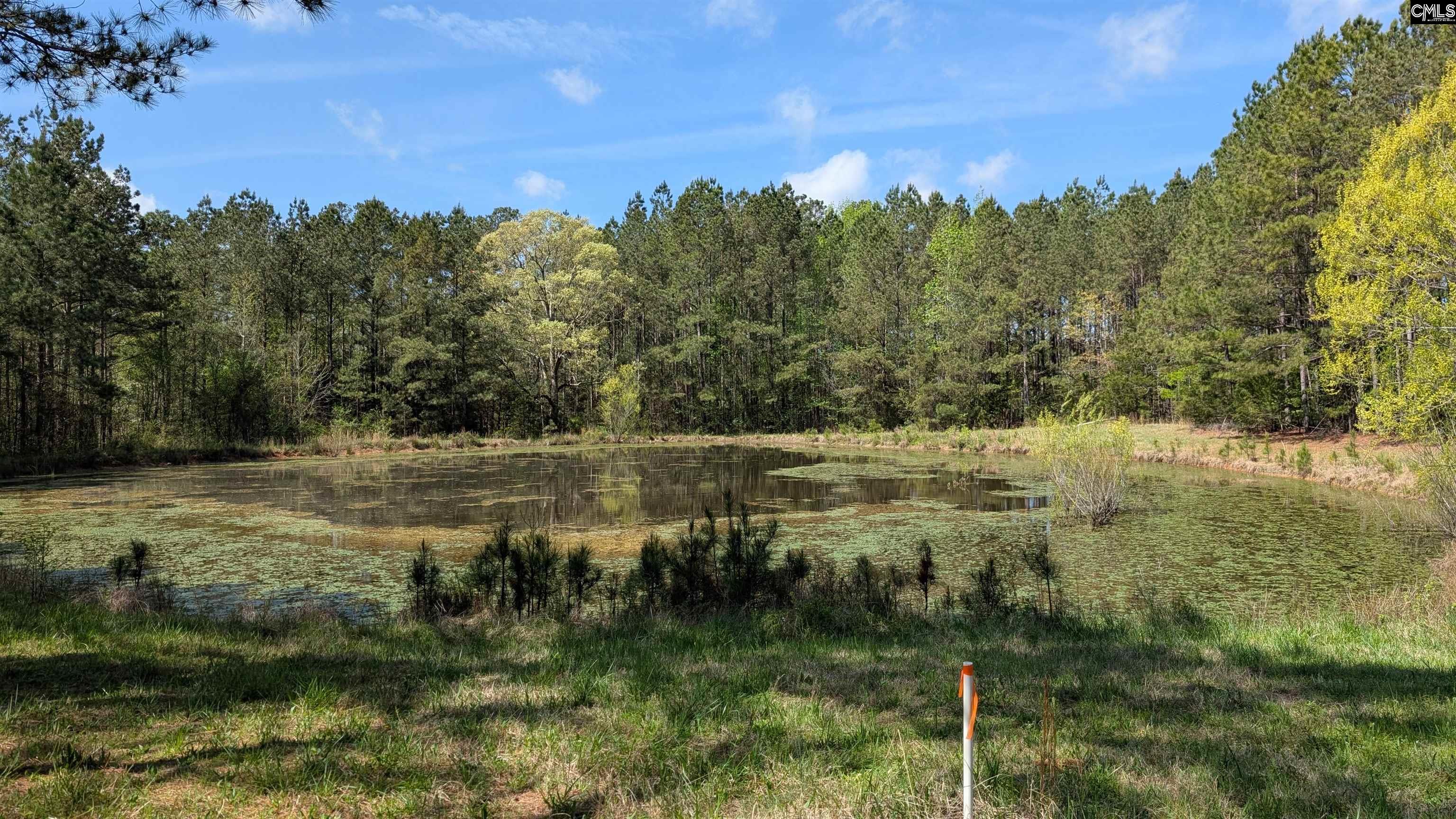 TBD Boyd Road, Blackstock, South Carolina image 6