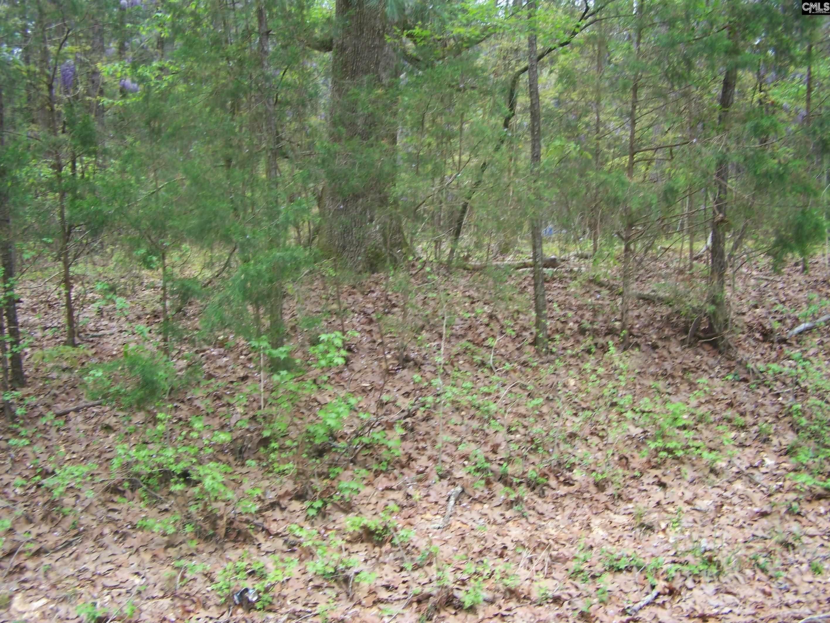 TBD Kelly Court, Blair, South Carolina image 4