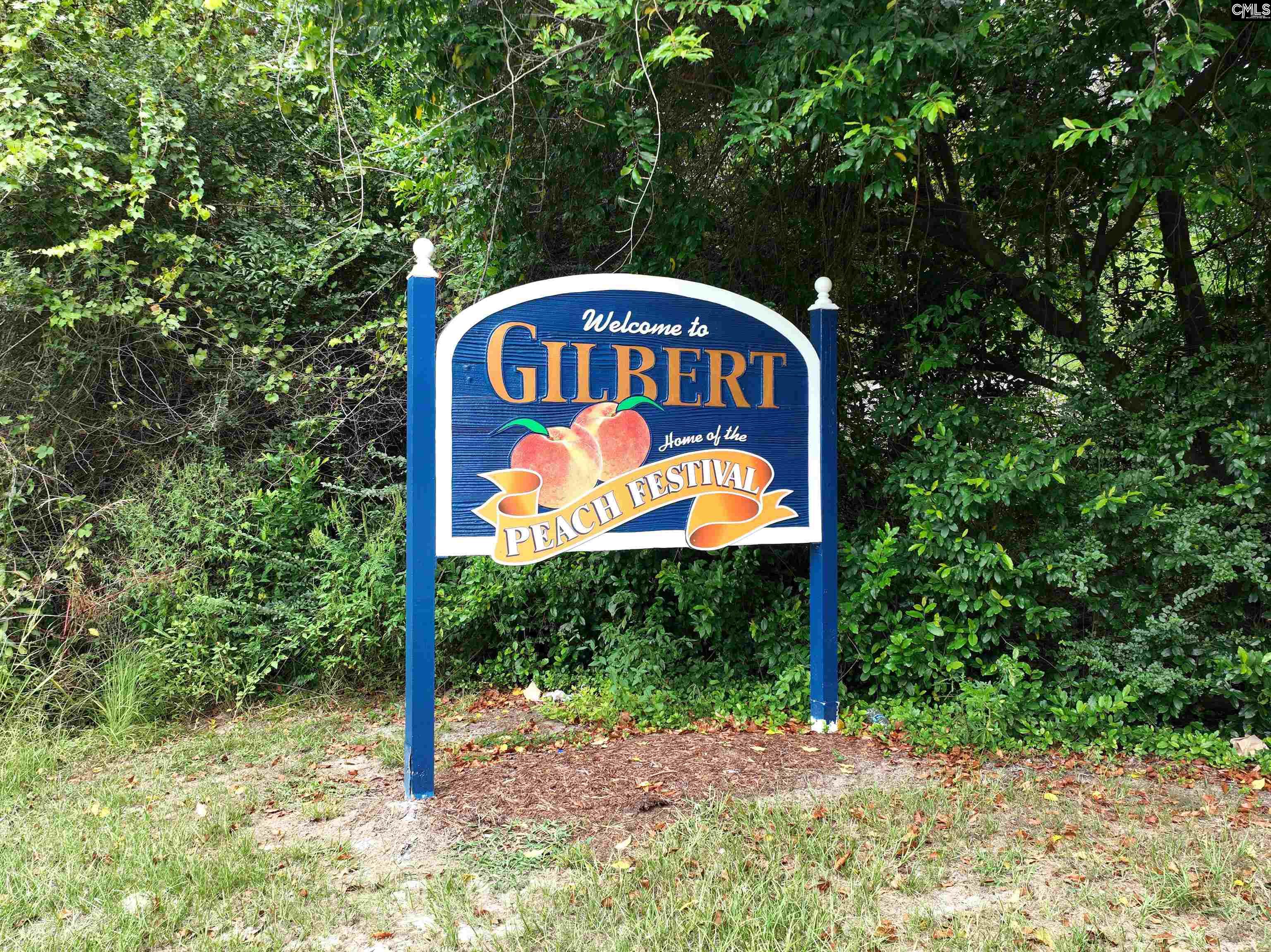 402 Wire Road, Gilbert, South Carolina image 41