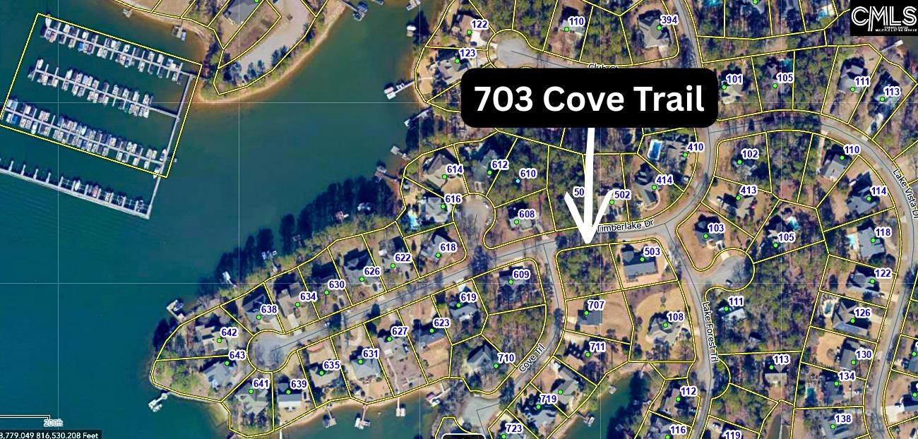 703 Cove Trail Chapin, SC 29036