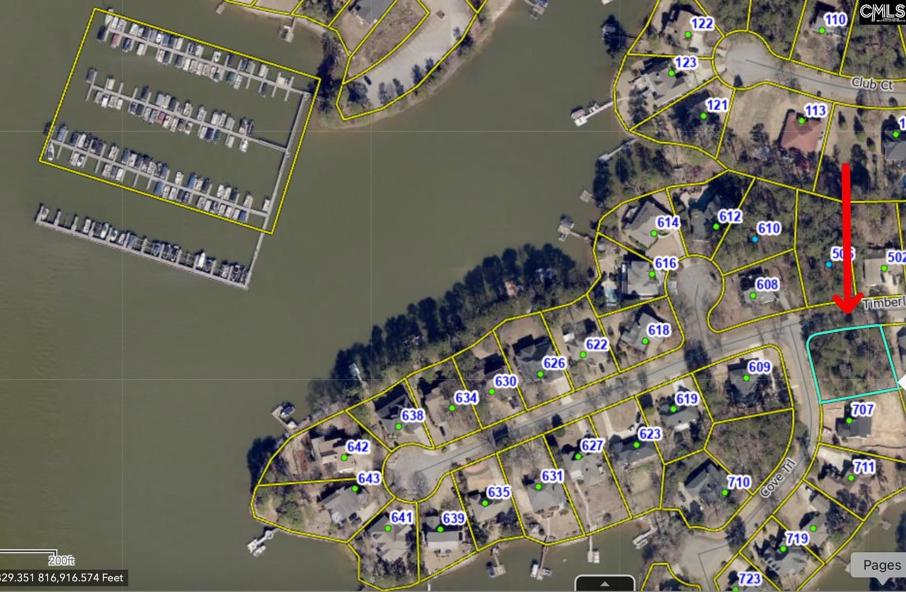 703 Cove Trail, Chapin, South Carolina image 2