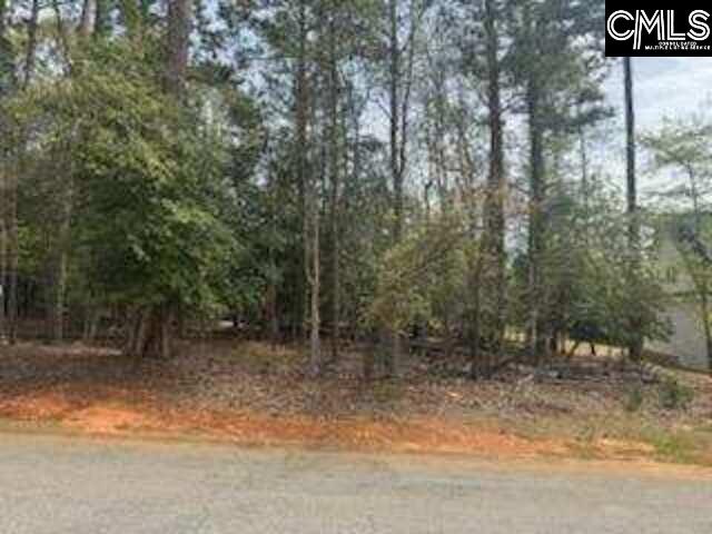 703 Cove Trail, Chapin, South Carolina image 5